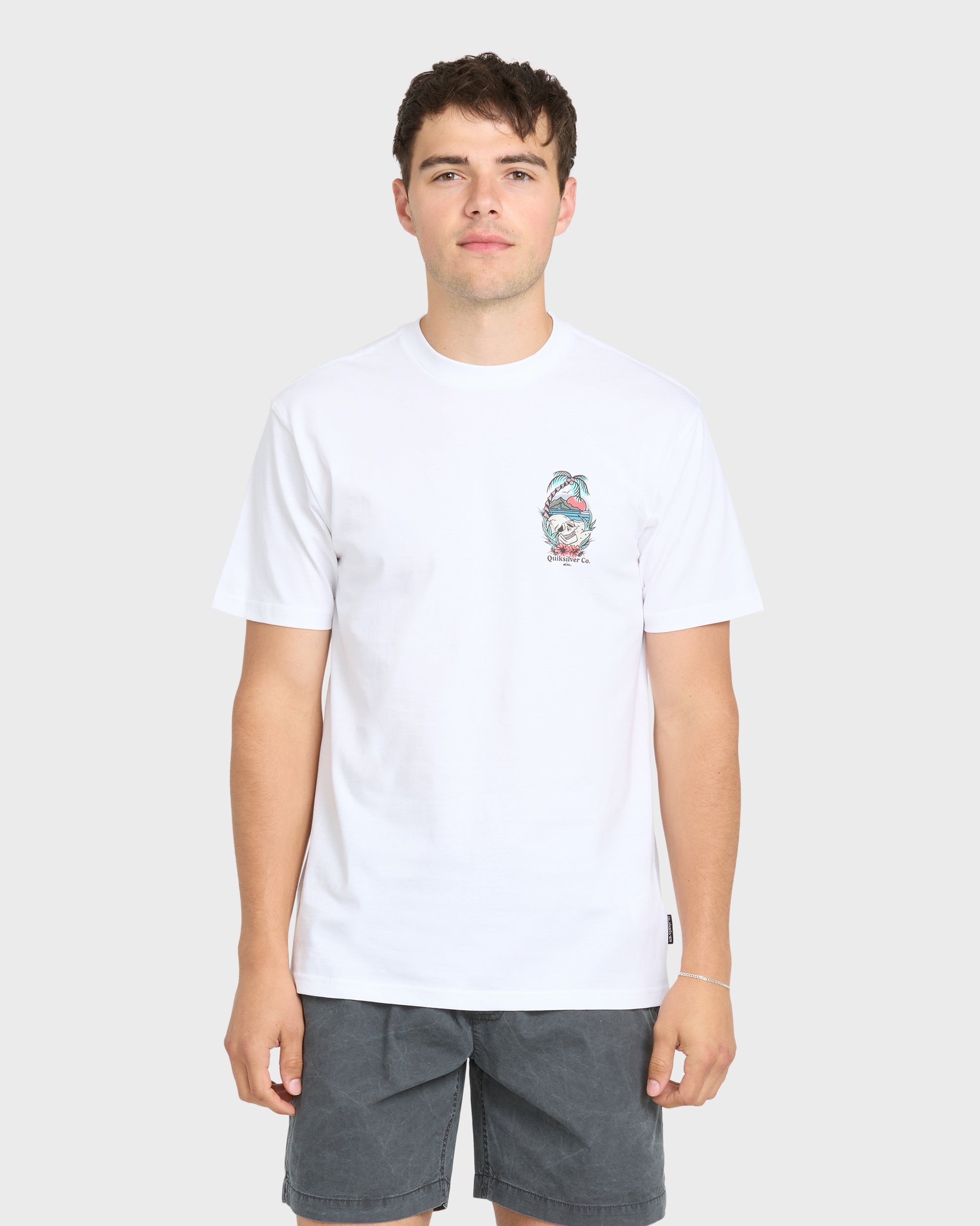 Staycation Short Sleeve Cotton T-Shirt - White | Quiksilver