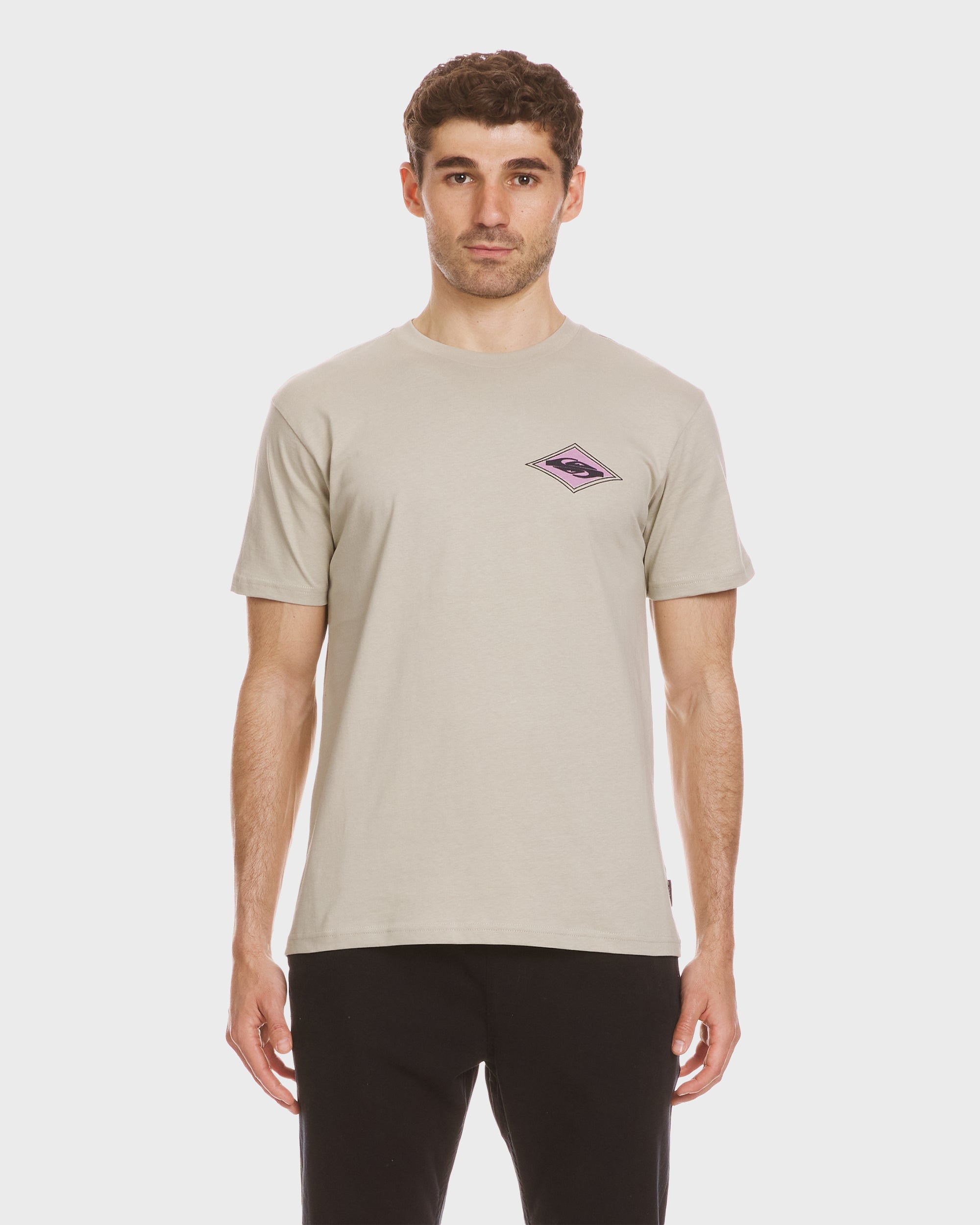 Reflect T-Shirt - Pale Aloe | Quiksilver
