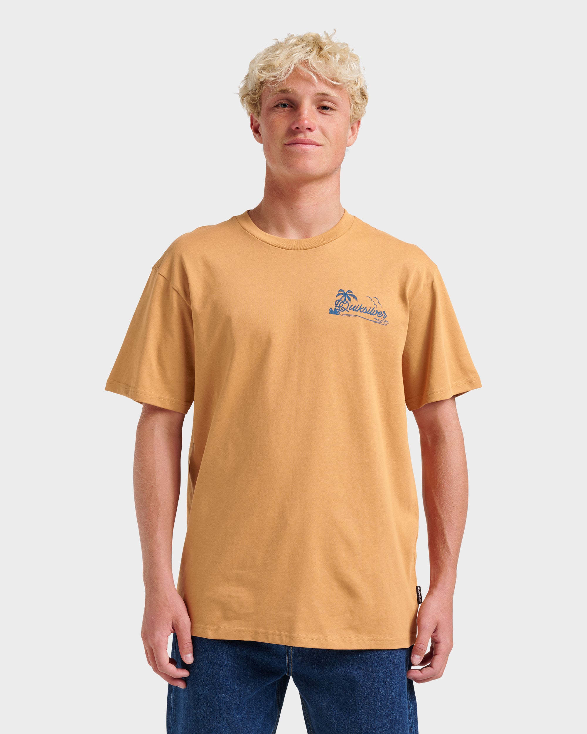 Island Vibin Classic T-shirt - Almond | Quiksilver