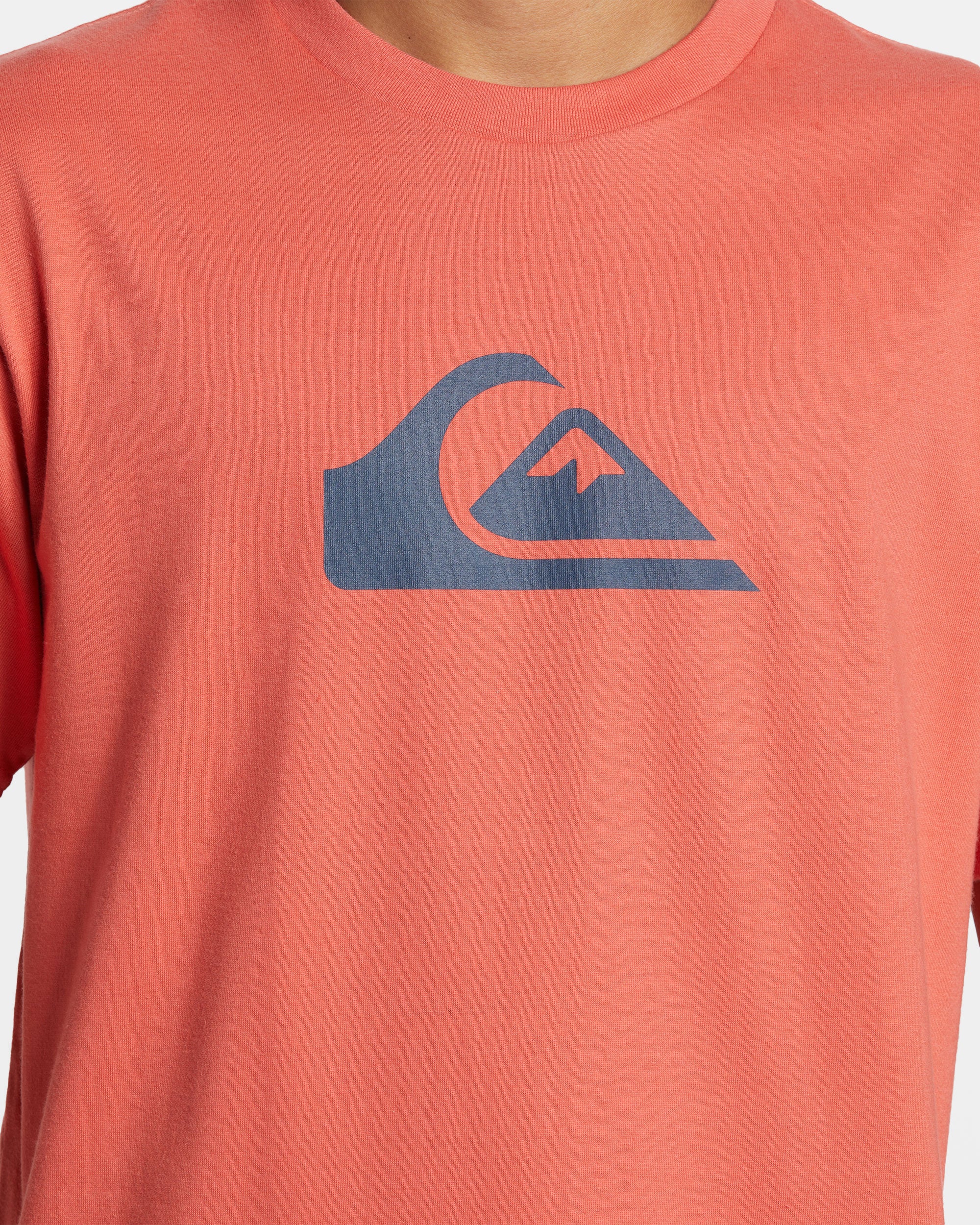 Comp Logo T-Shirt - Spiced Coral | Quiksilver