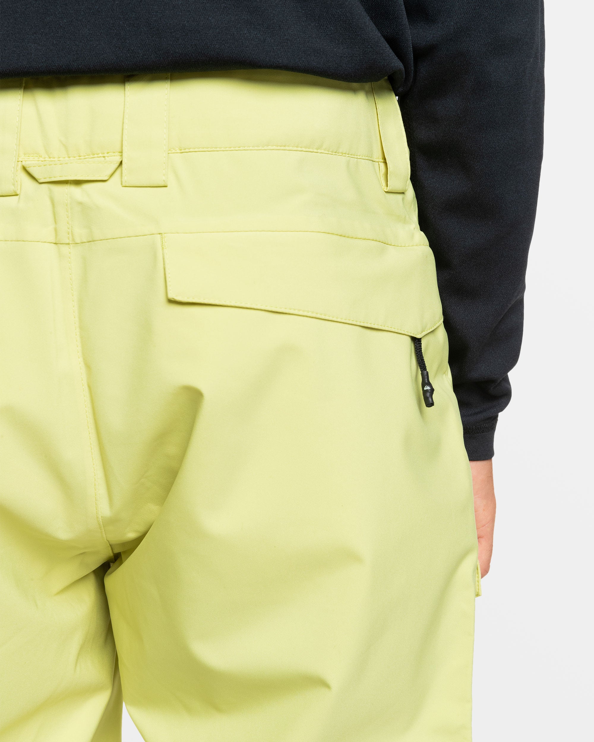 Utility Snow Pants - Celery Green | Quiksilver