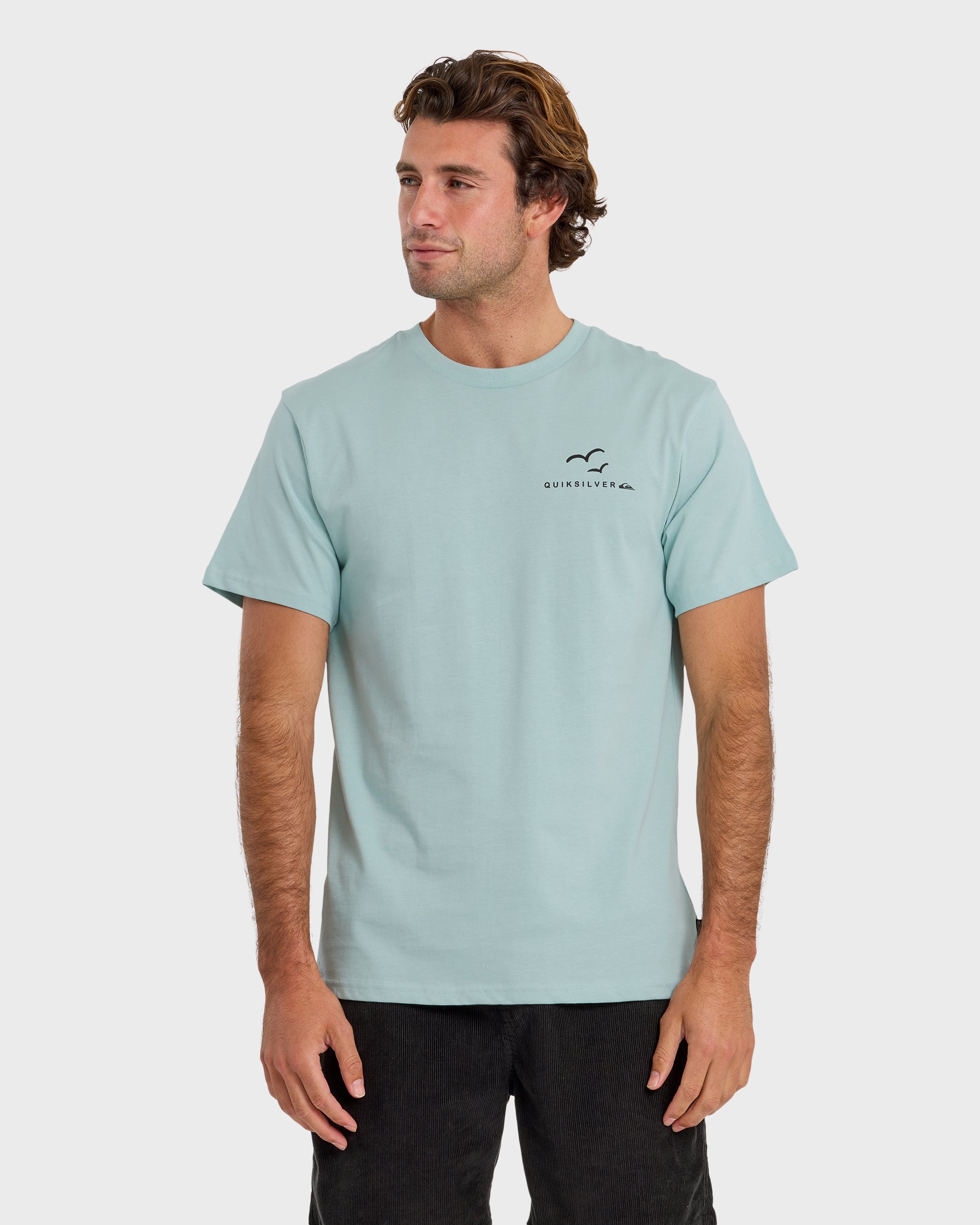 Happy Trails Short Sleeve T-Shirt - Blue Haze | Quiksilver
