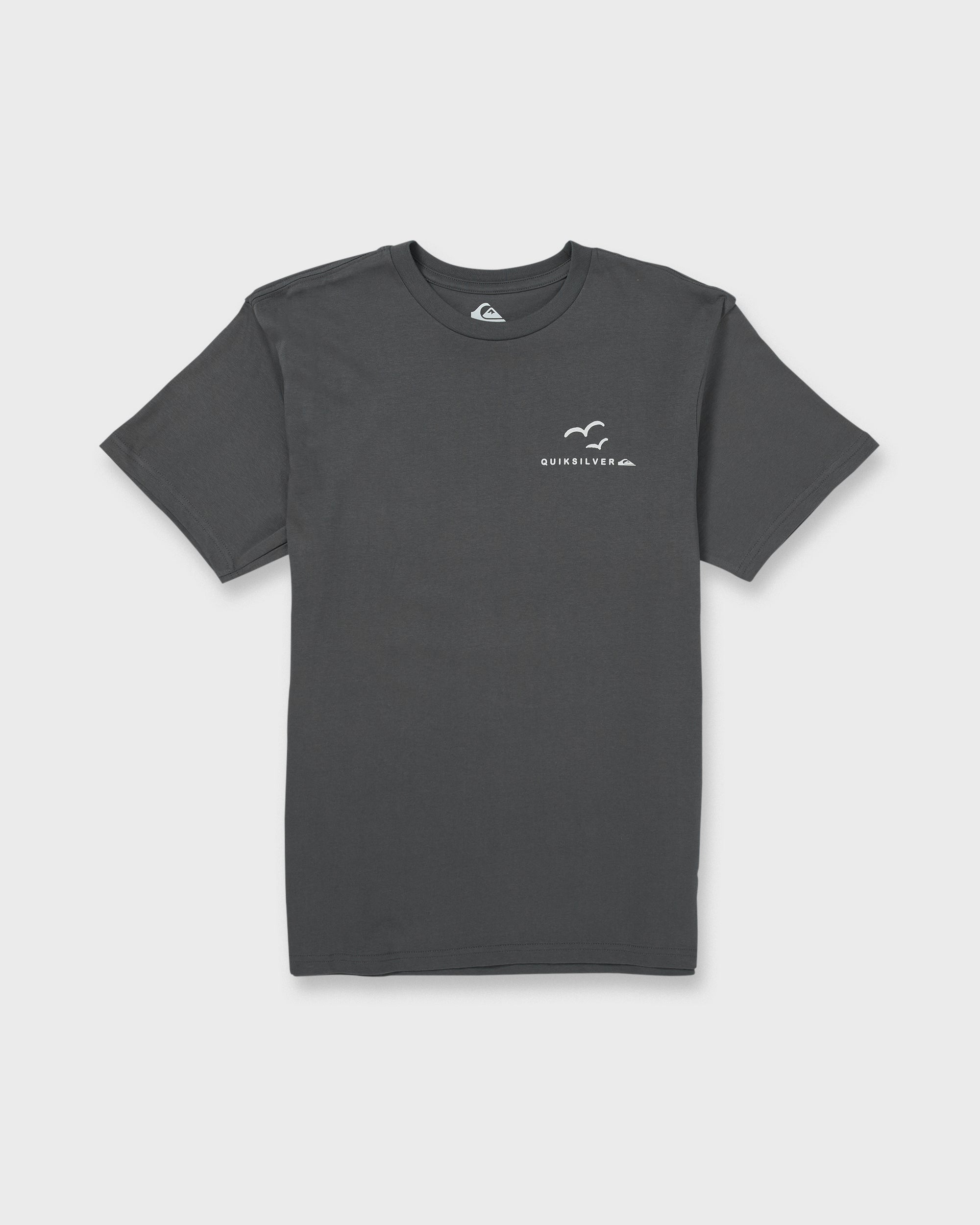 Happy Trails Short Sleeve T-Shirt - Iron Gate | Quiksilver