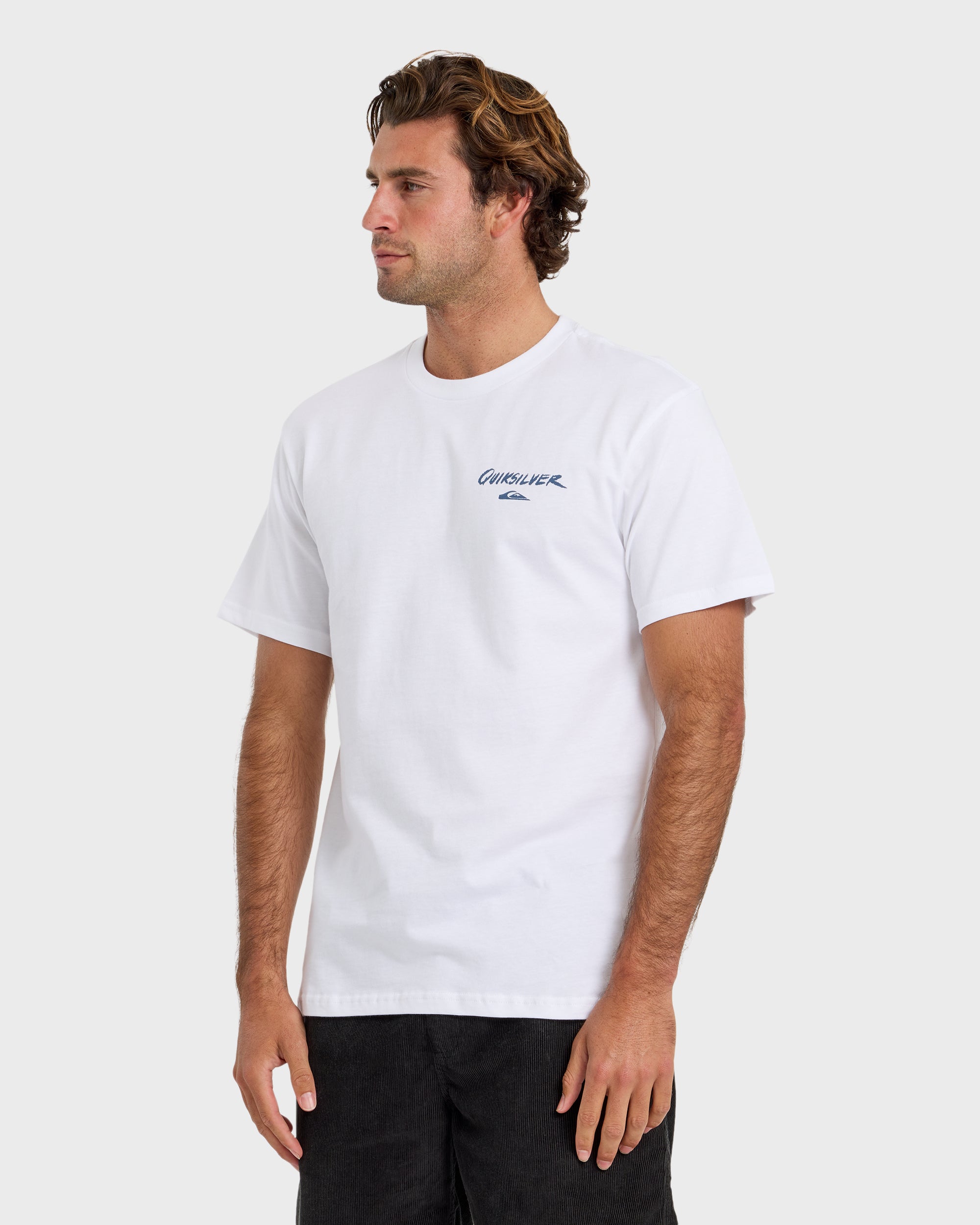 Pipe Dream Short Sleeve T-Shirt - White | Quiksilver
