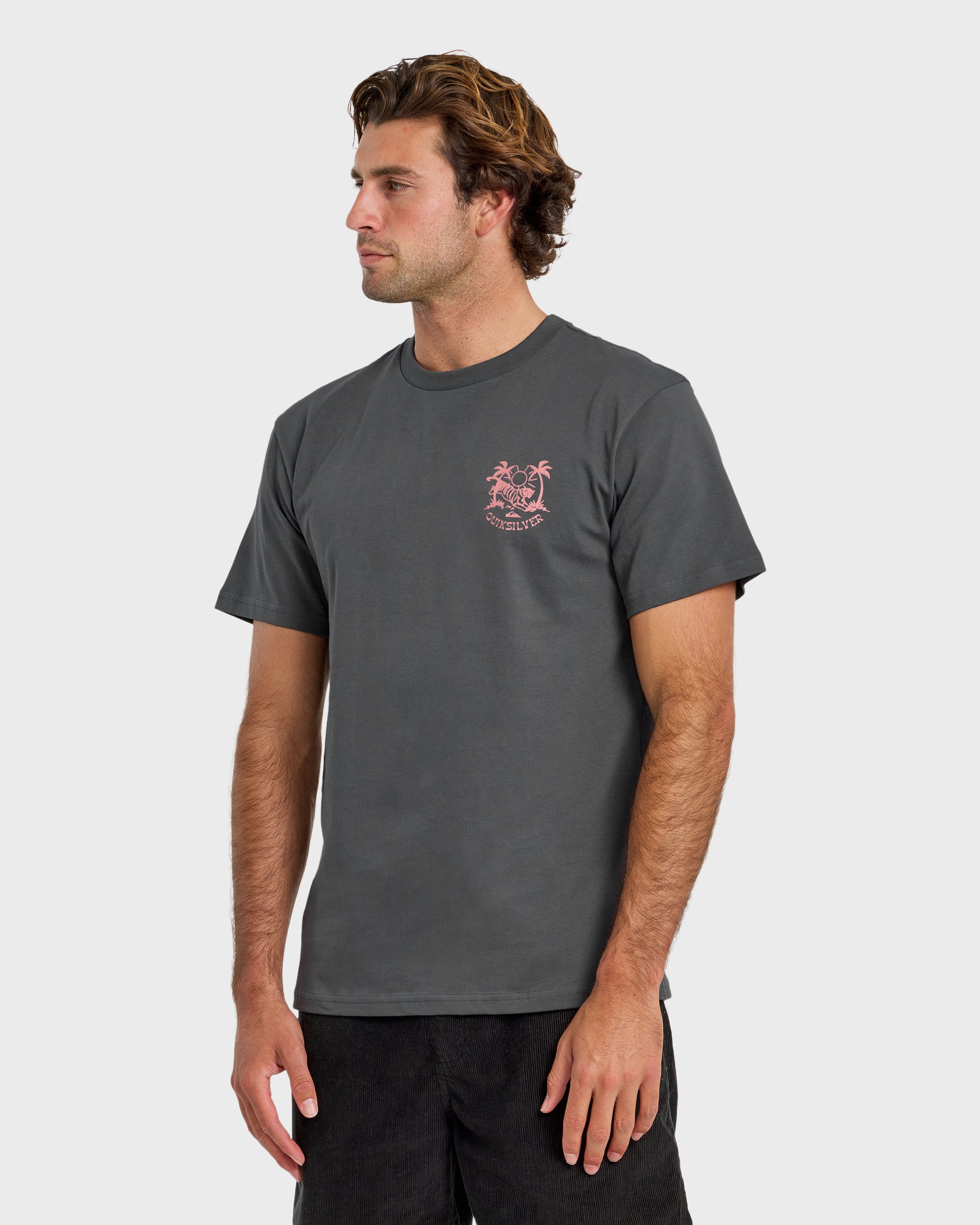 In The Wild Classic Short Sleeve T-Shirt - Iron Gate | Quiksilver