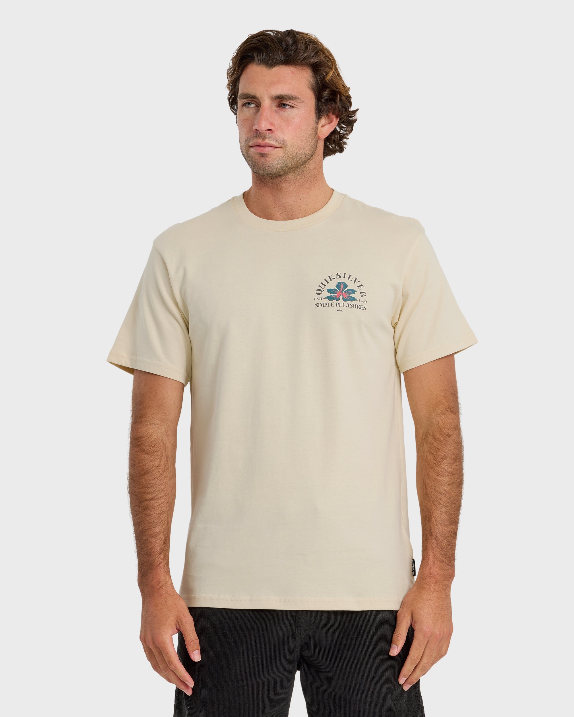 Pleasures Classic Short Sleeve T-Shirt - Bone White | Quiksilver