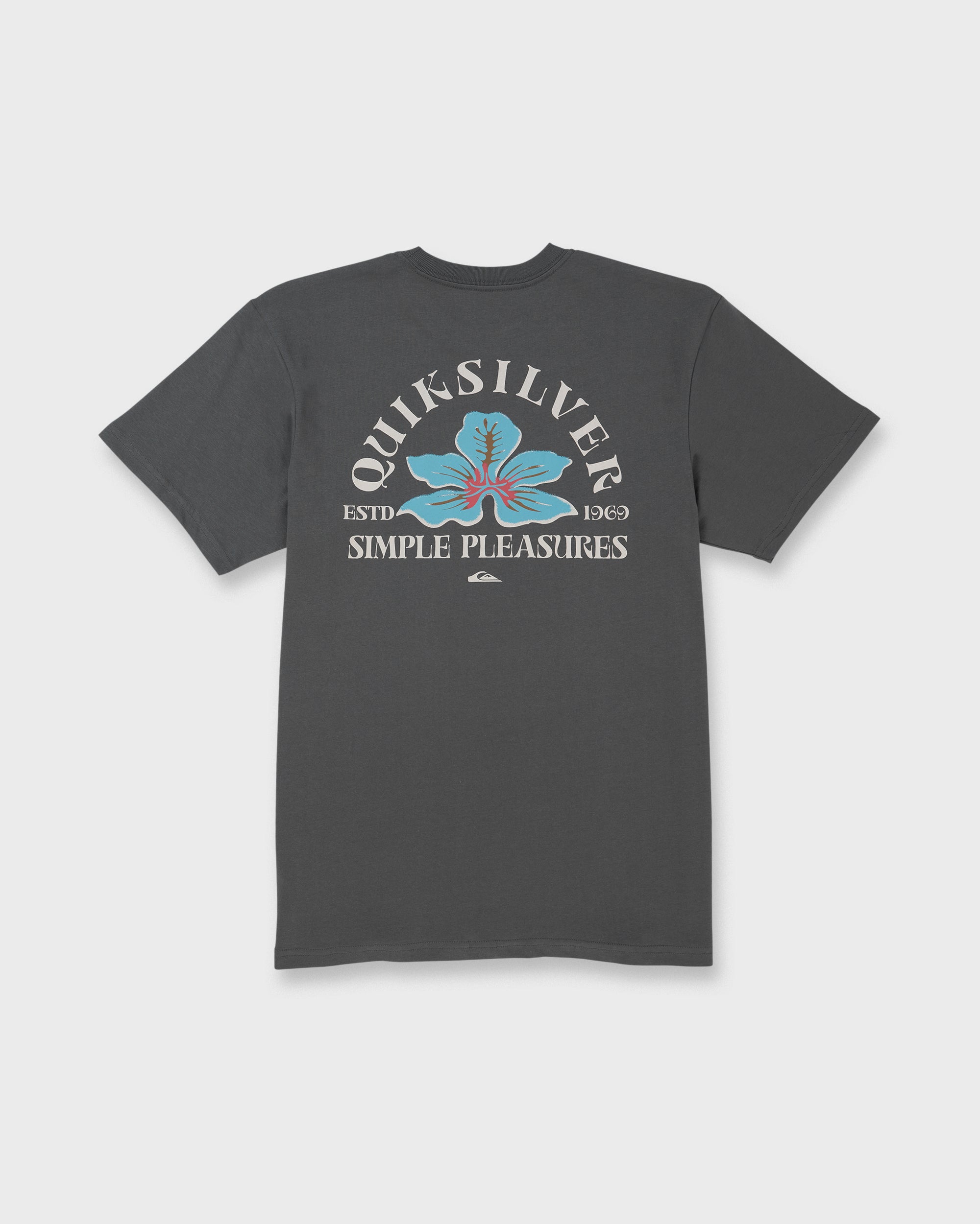 Pleasures Classic Short Sleeve T-Shirt - Iron Gate – Quiksilver