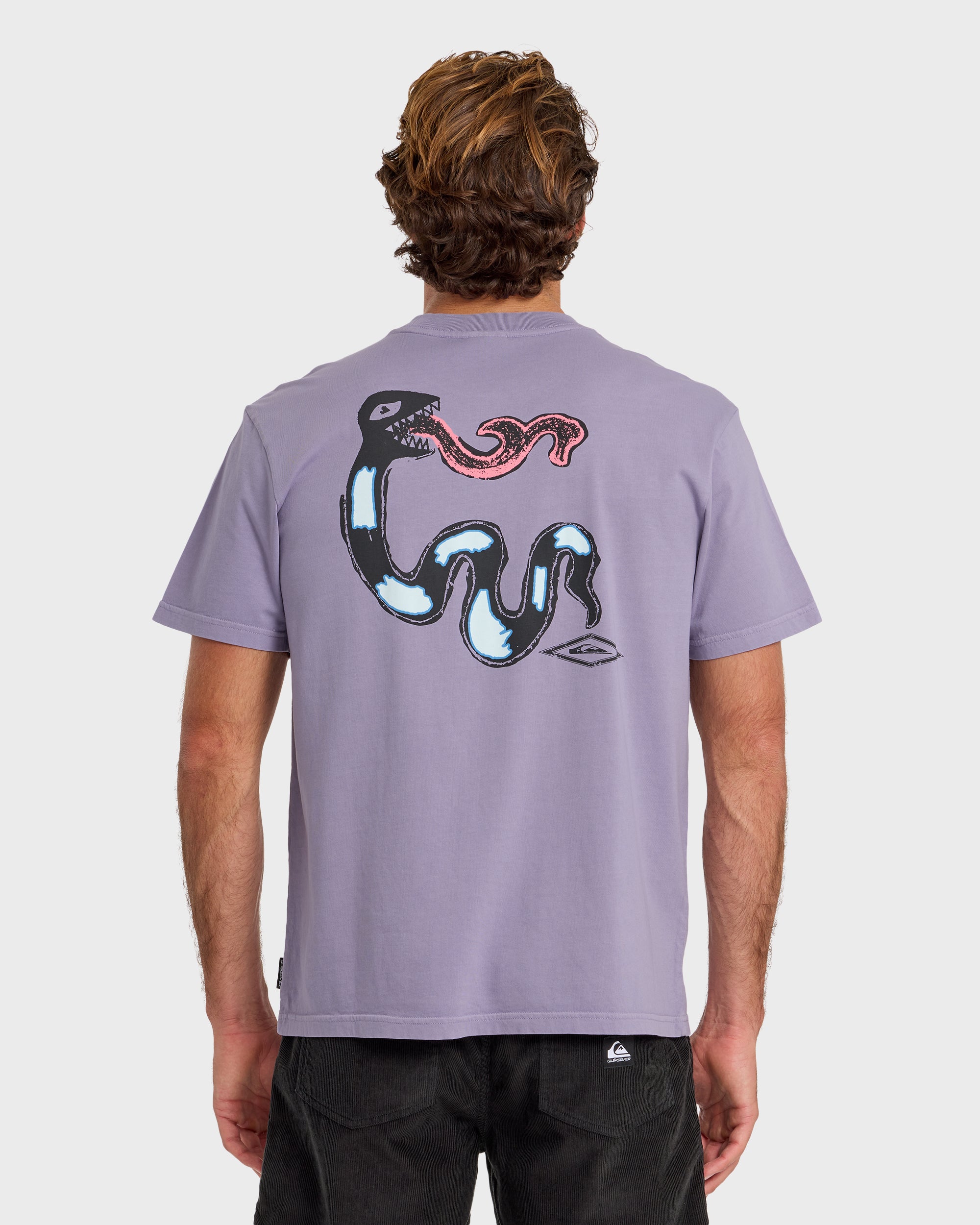 Snake Bite Pigment Dyed Short Sleeve T-Shirt - Daybreak | Quiksilver