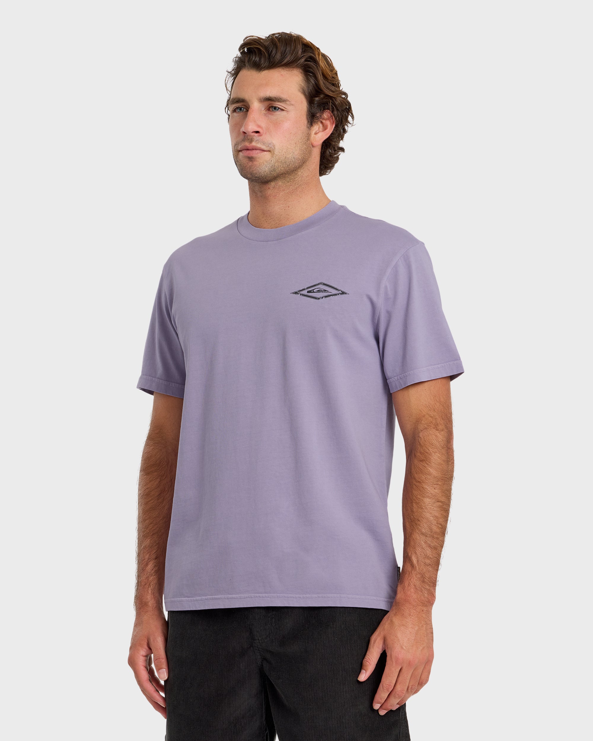 シンガーズハイ　daybreak Tシャツ Snake Bite Pigment Dyed Short Sleeve T-Shirt - Daybreak | Quiksilver