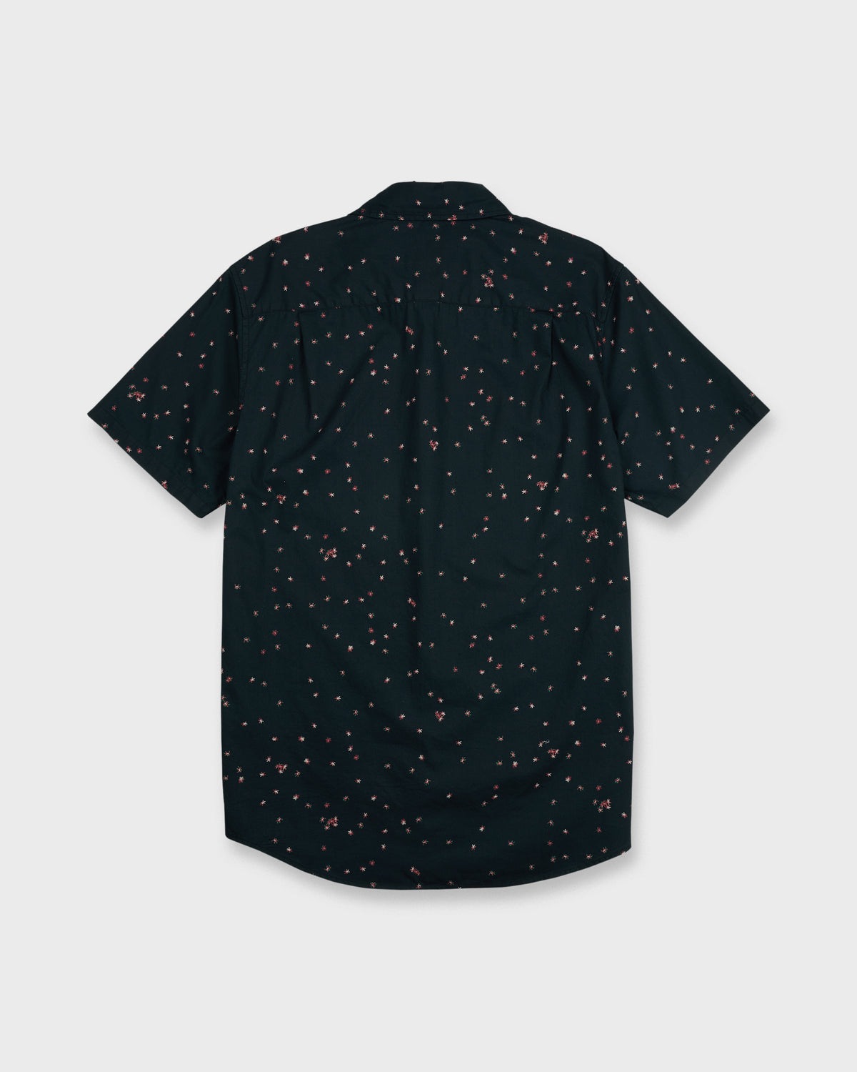 DITSY-BLOSSOM-CLASSIC-SS-ANTHRACITE-7