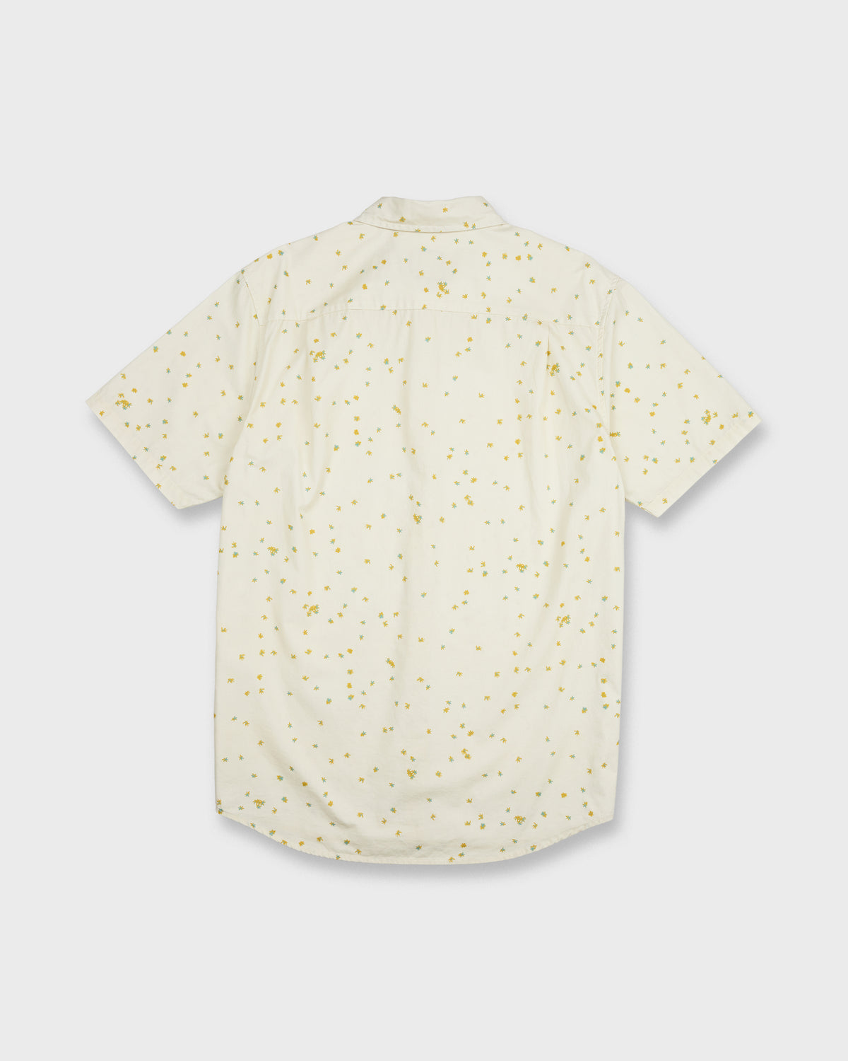 DITSY-BLOSSOM-CLASSIC-SS-BONE-WHITE-7