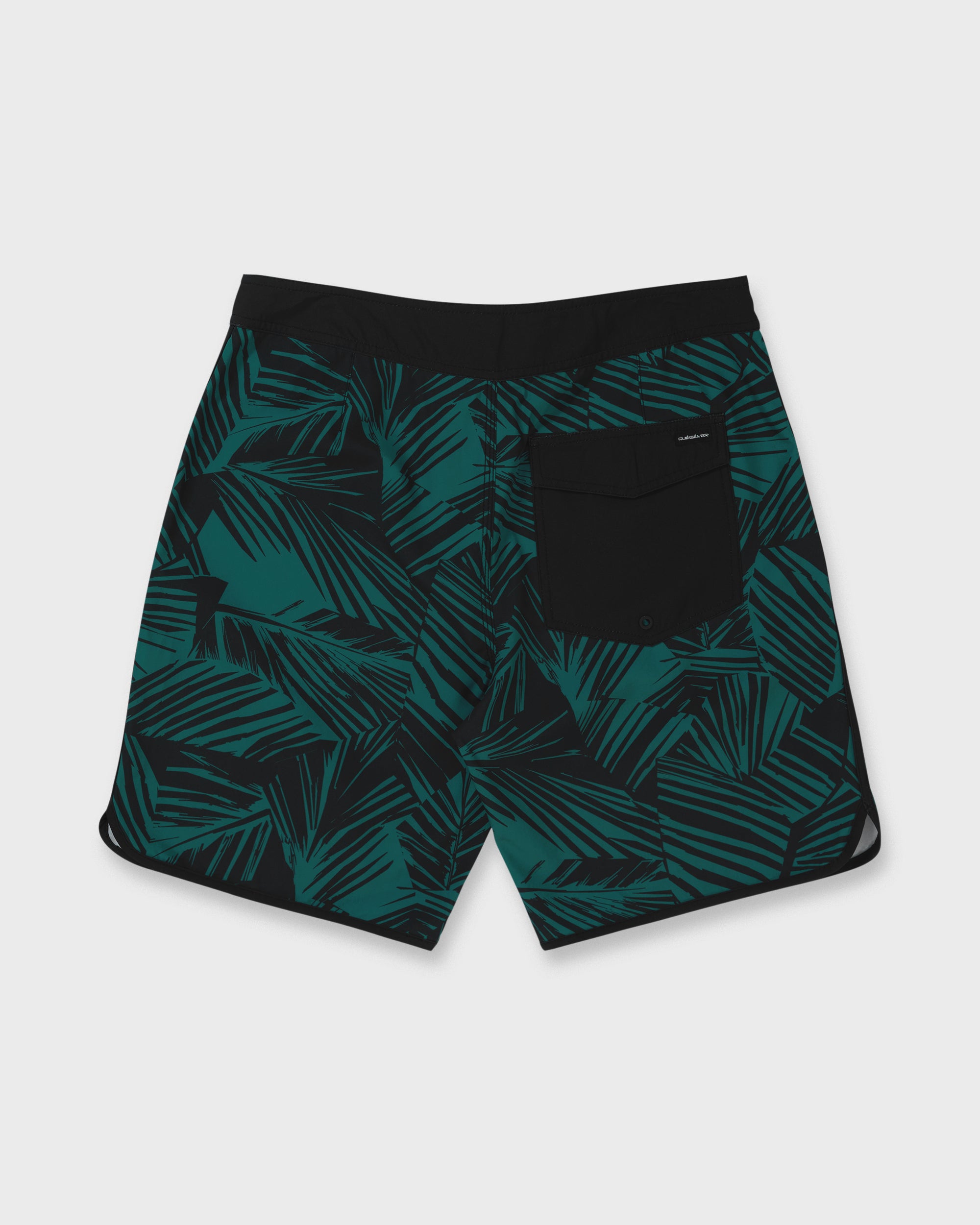 Aruba Palm Scallop 19