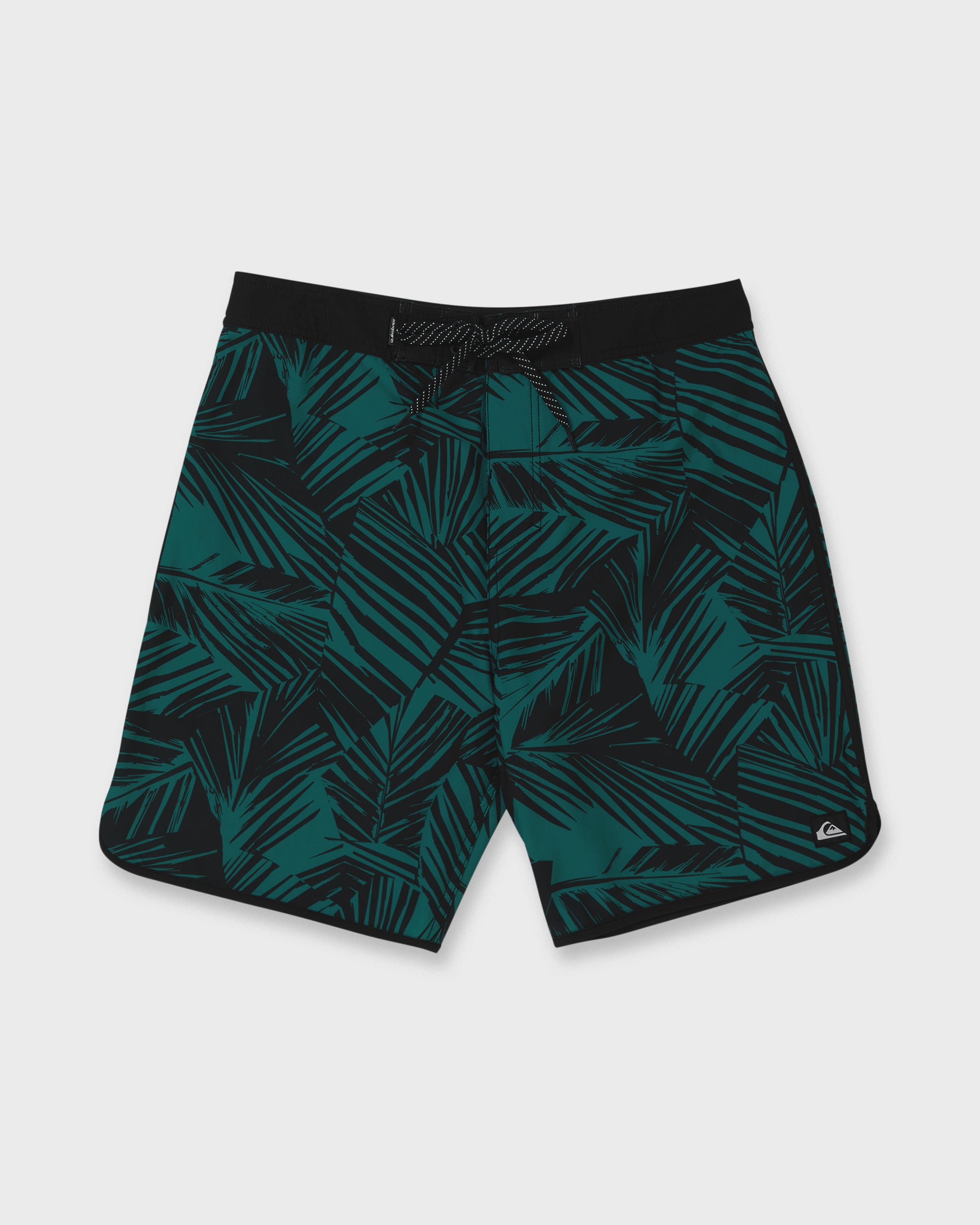 Aruba Palm Scallop 19