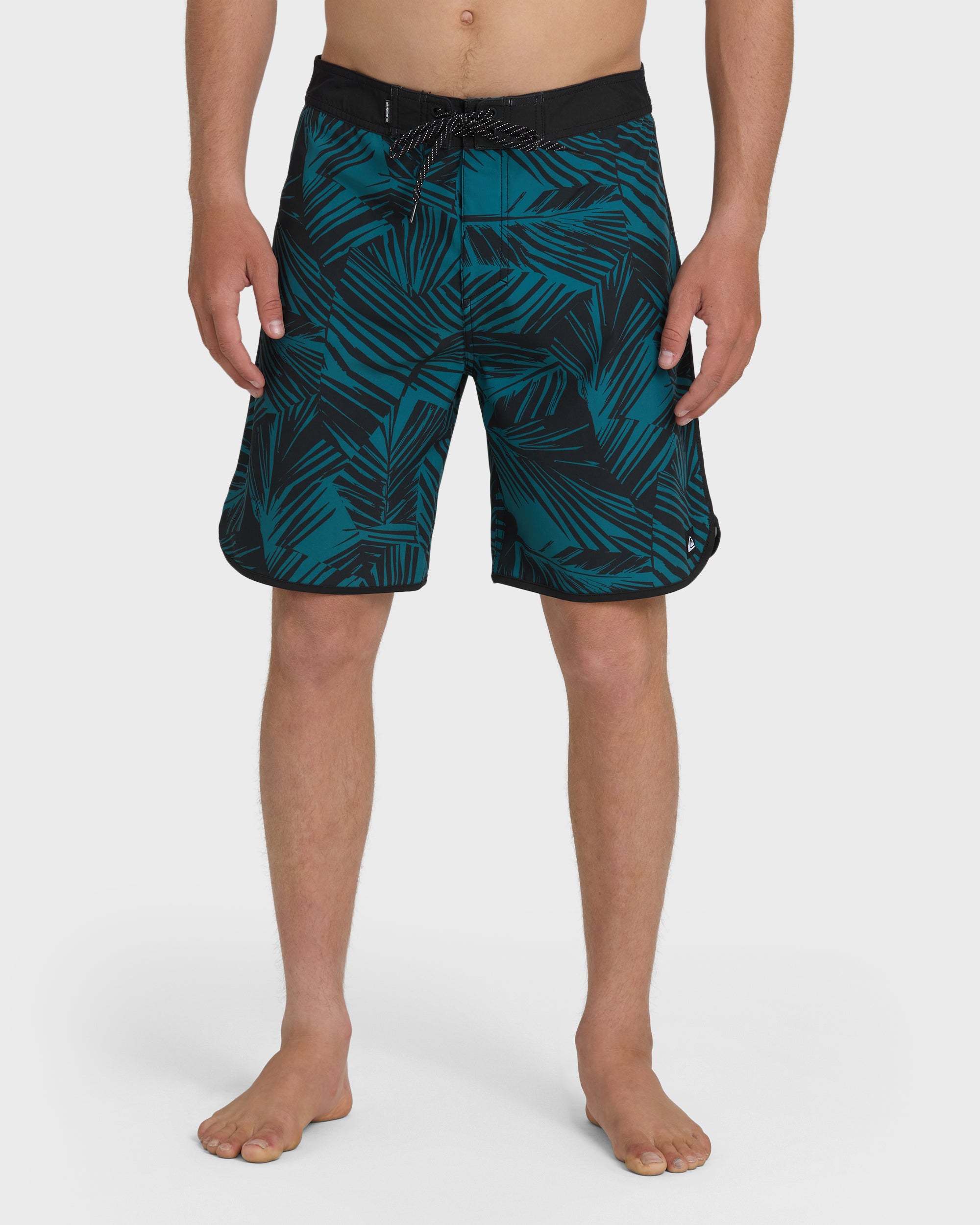 Aruba Palm Scallop 19