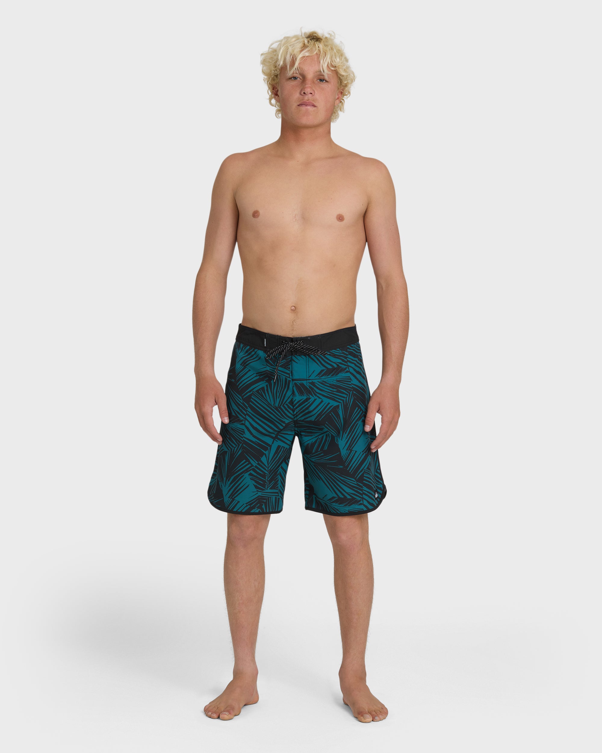 Aruba Palm Scallop 19