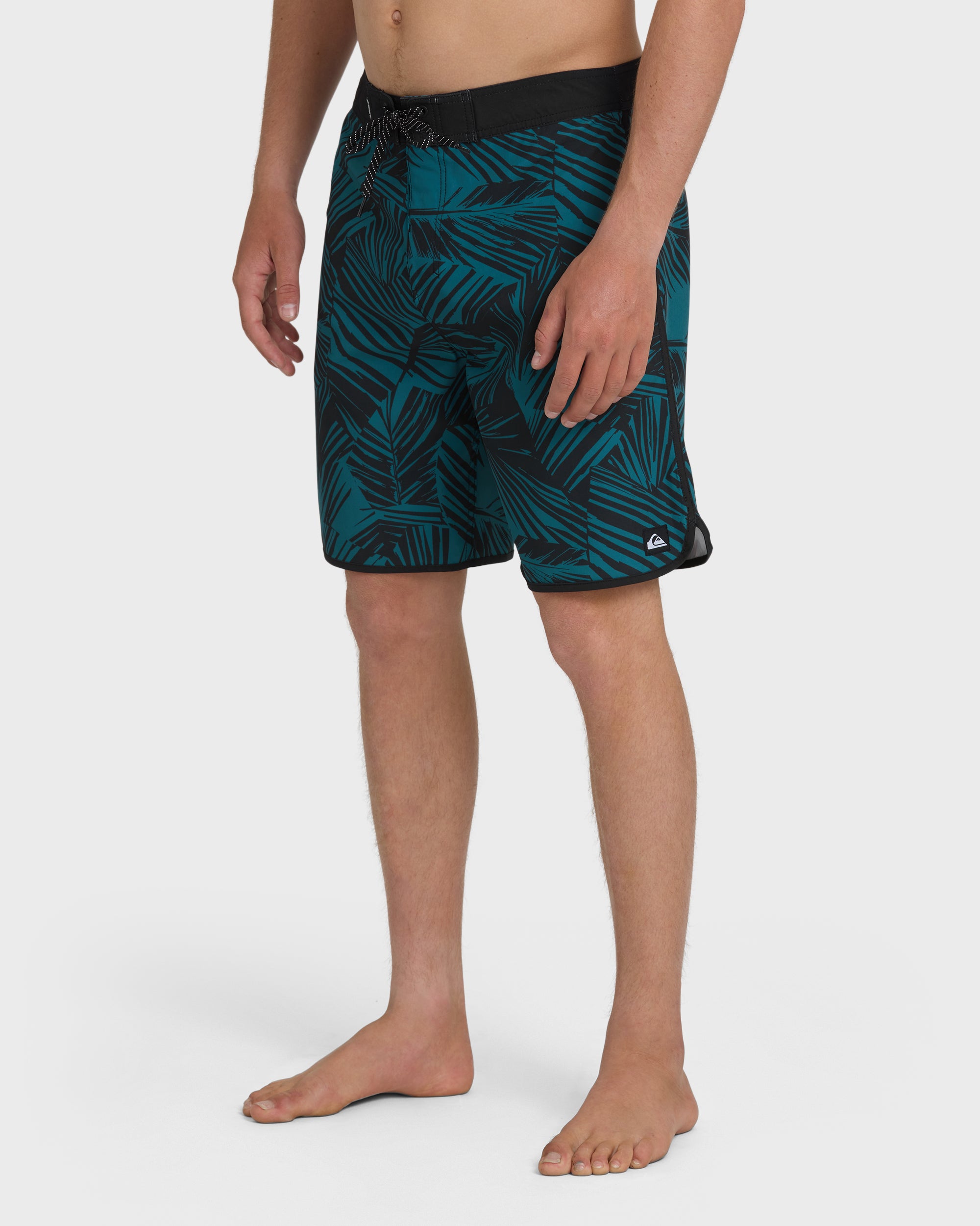 Aruba Palm Scallop 19
