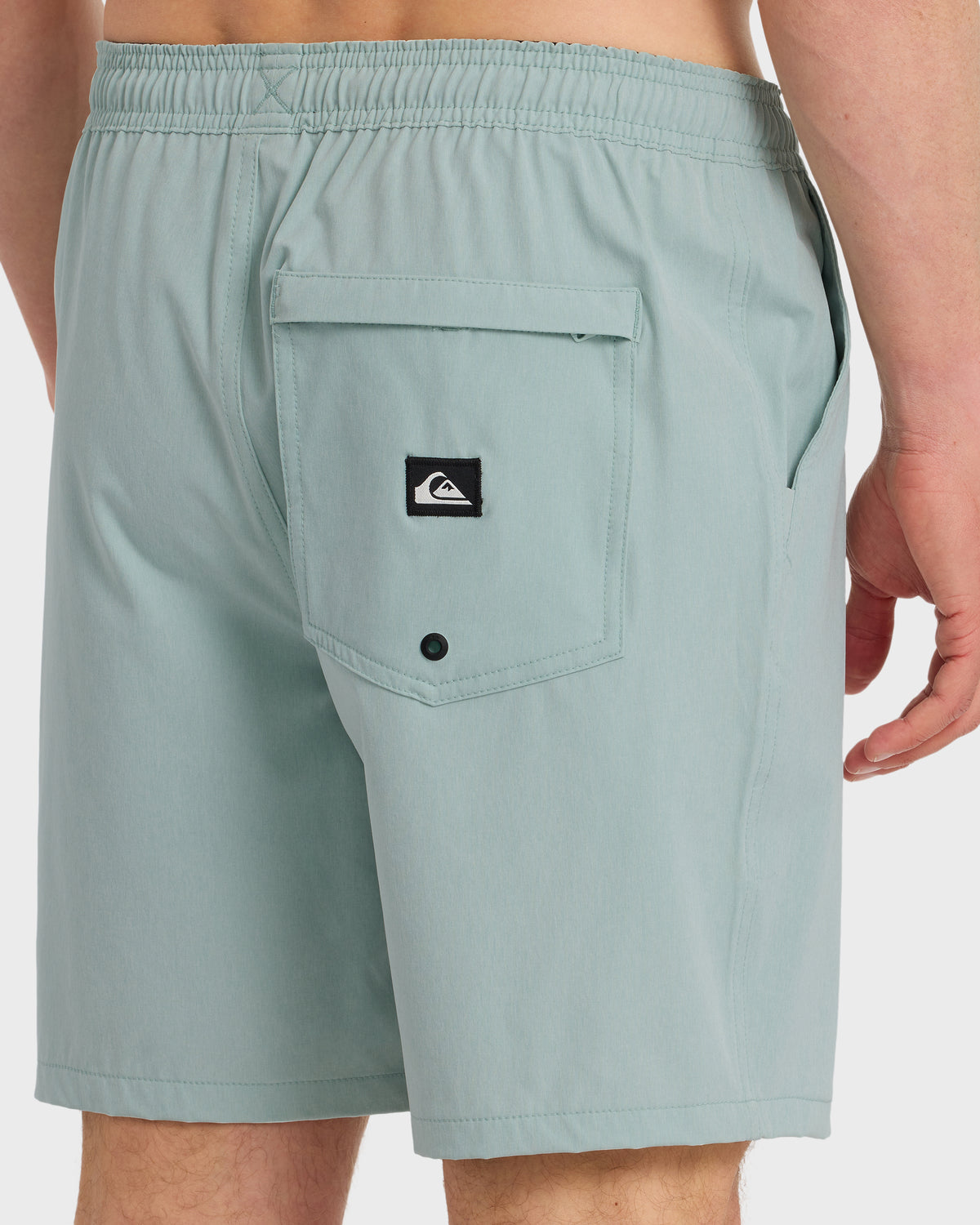 TAXER-HEATHER-AMPHIBIAN-18-BLUE-HAZE-5