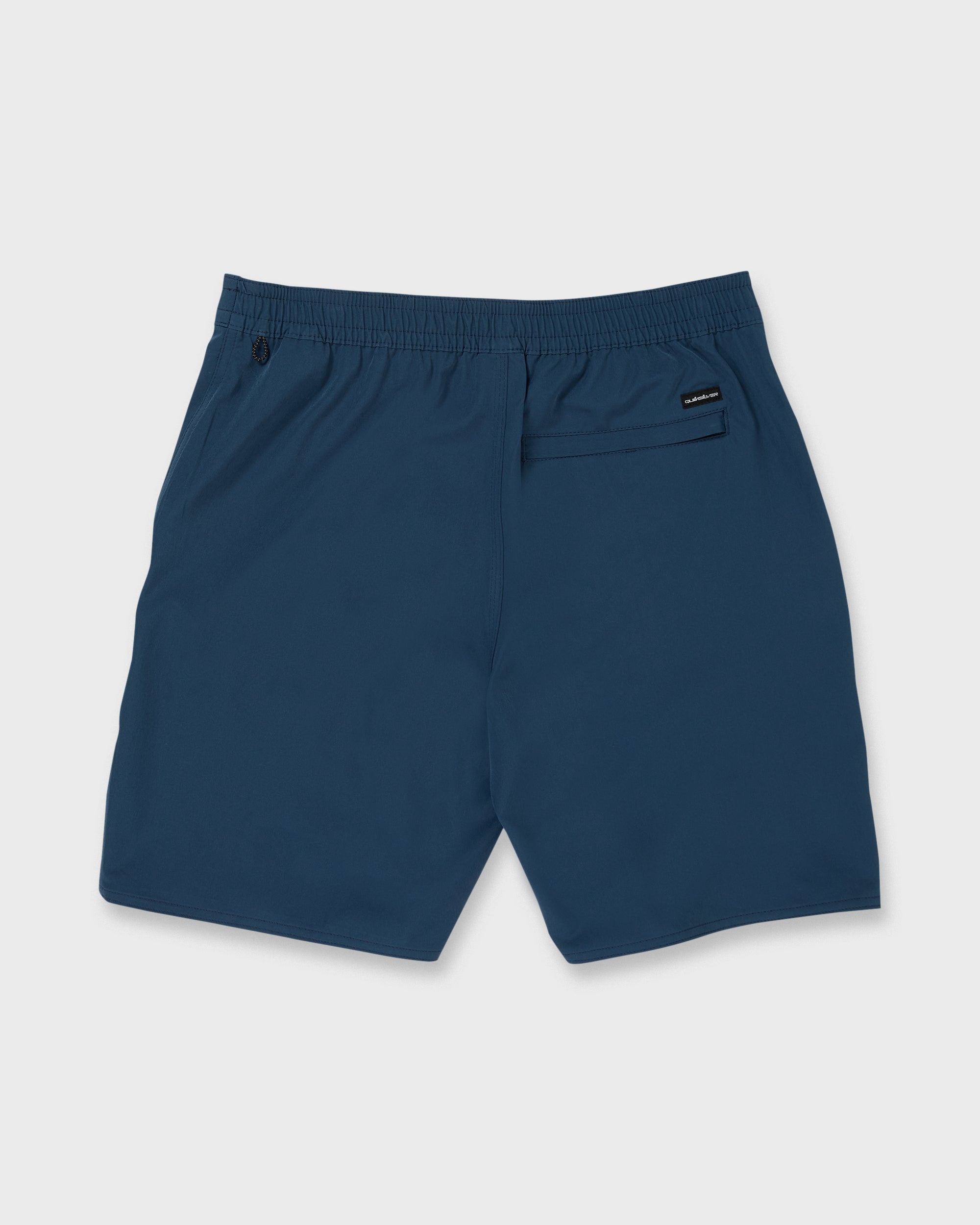 Men's Aquashorts | Quiksilver