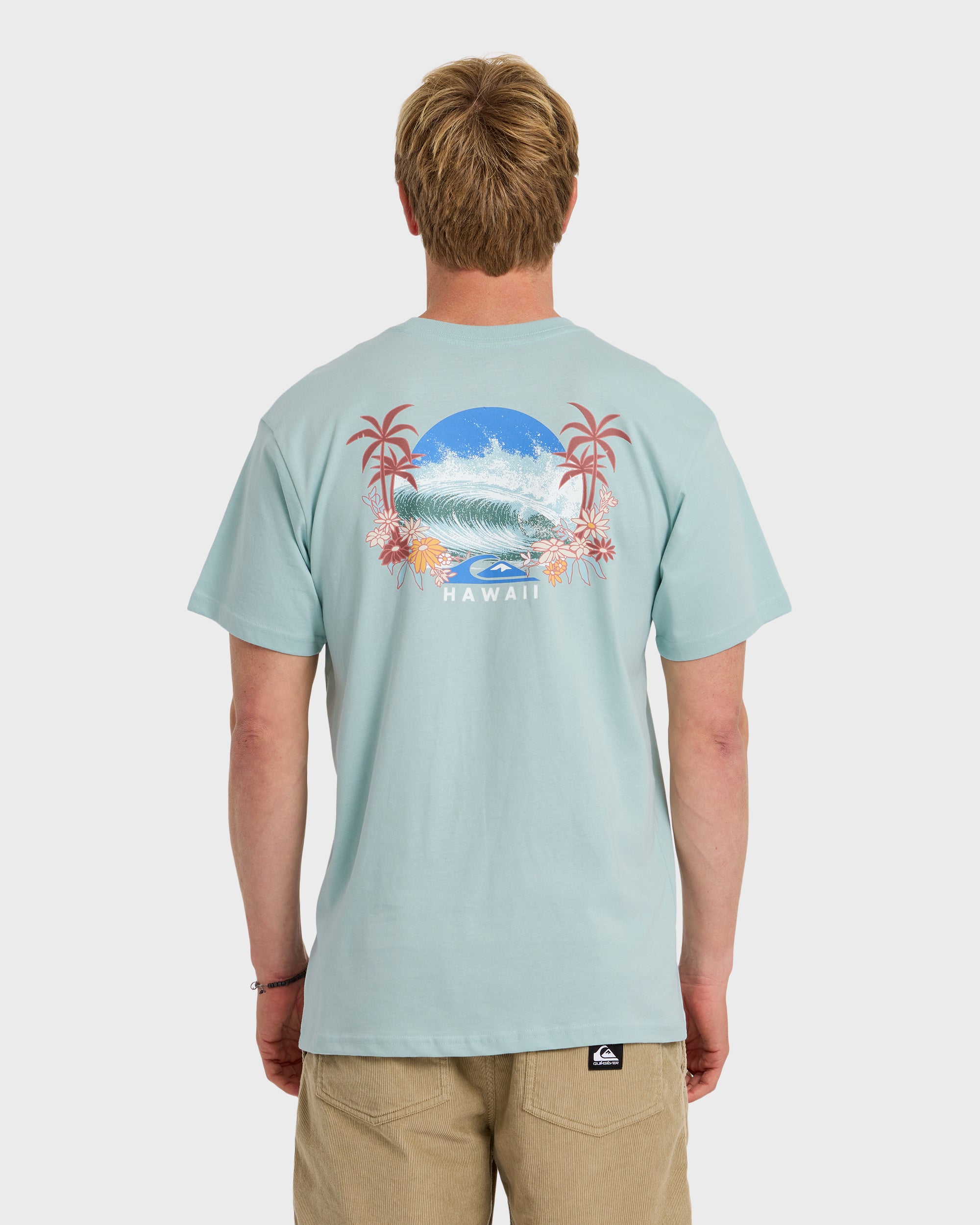 Hi Tube Time Classic Short Sleeve T-Shirt - Blue Haze | Quiksilver