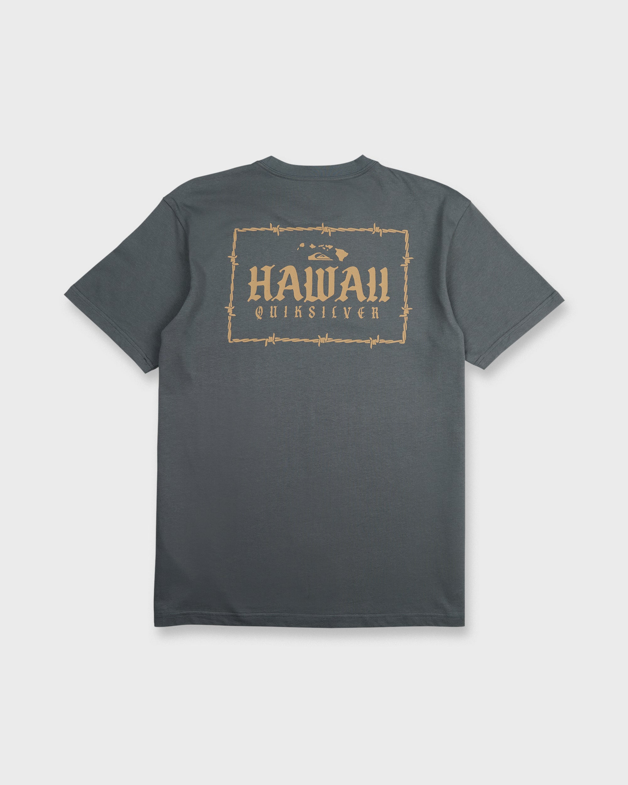Hawaii Lock Short Sleeve Knit T-Shirt - Iron Gate | Quiksilver