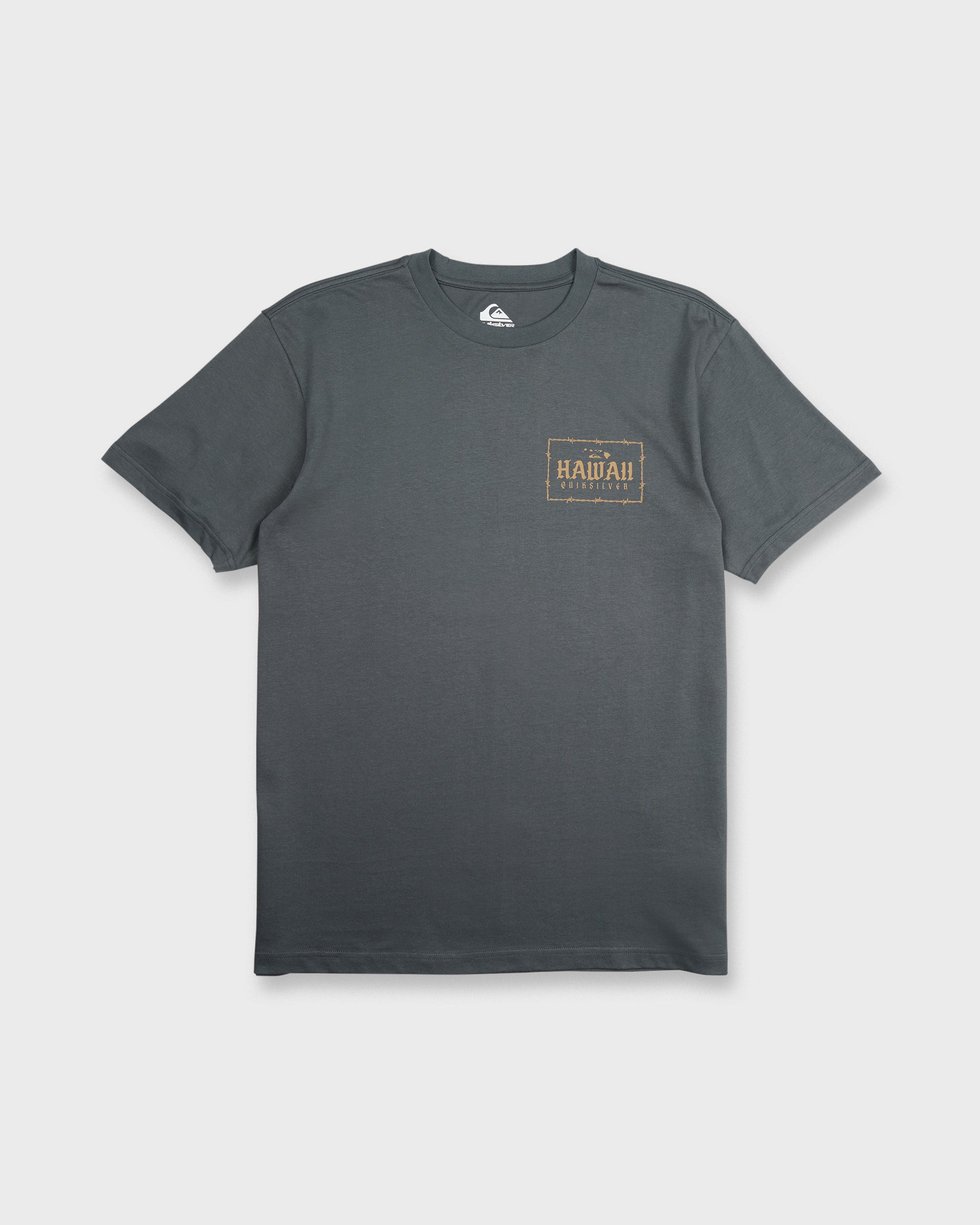 Hawaii Lock Short Sleeve Knit T-Shirt - Iron Gate | Quiksilver
