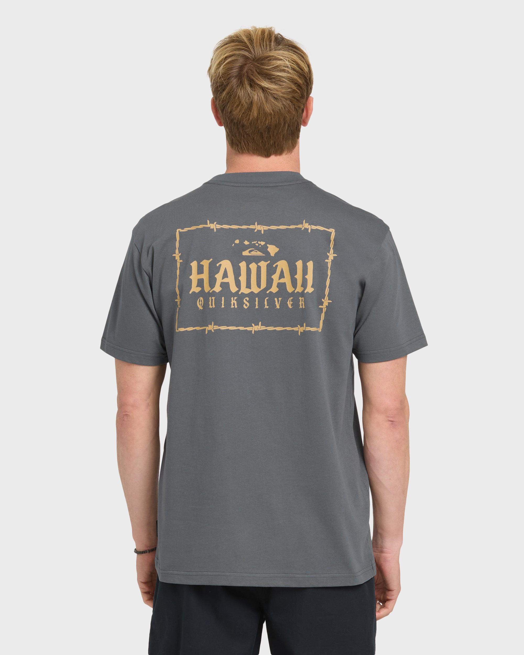Hawaii Lock Short Sleeve Knit T-Shirt - Iron Gate | Quiksilver