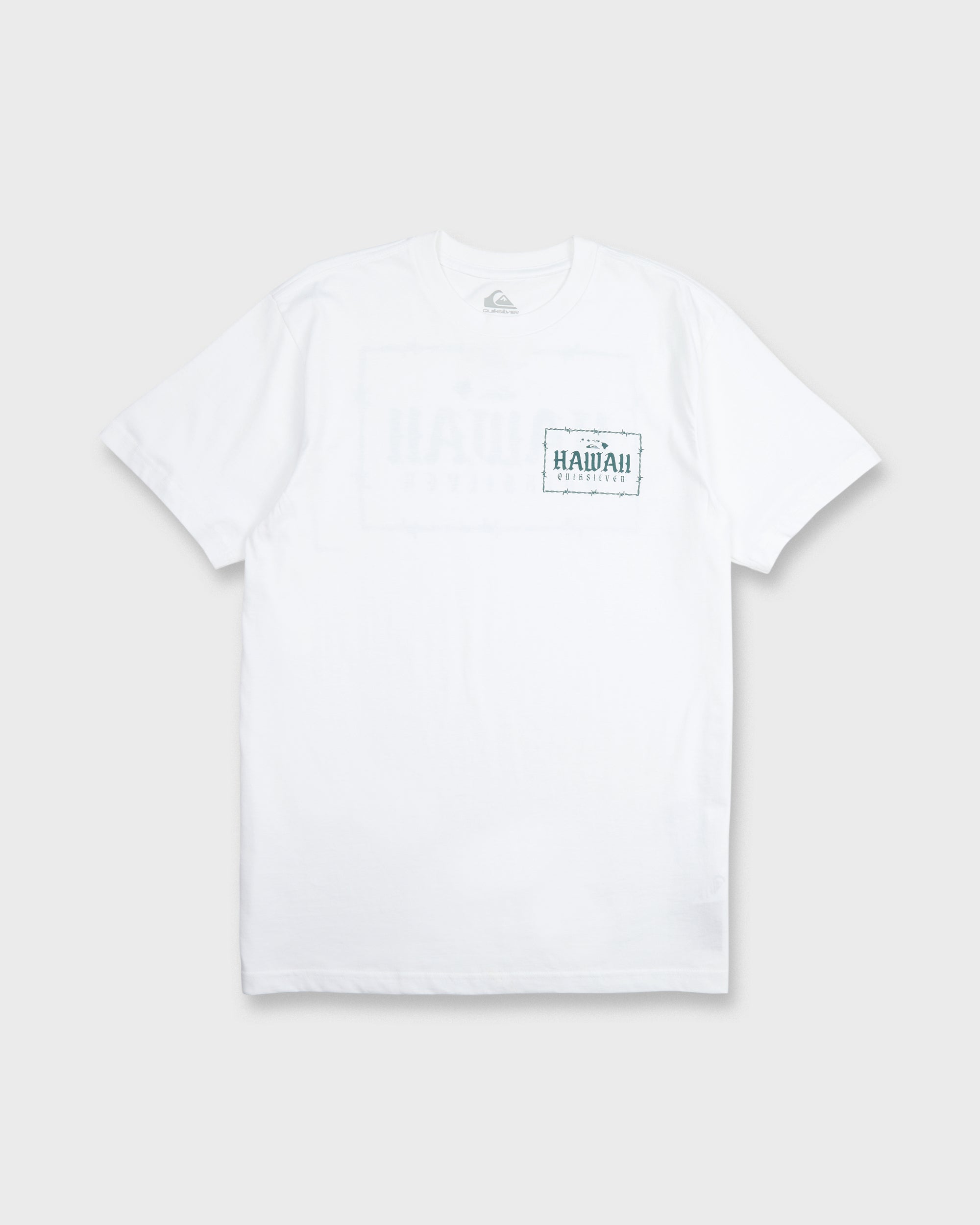 メンズ クイックシルバー メンズ トップス Tシャツ 半袖 Quiksilver