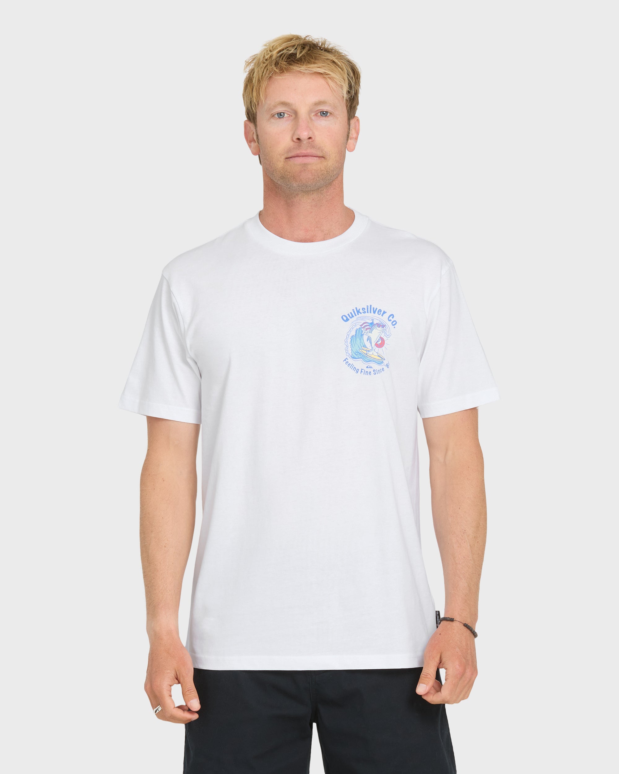 Patriot Dolphin Short Sleeve Knit T-Shirt - White | Quiksilver