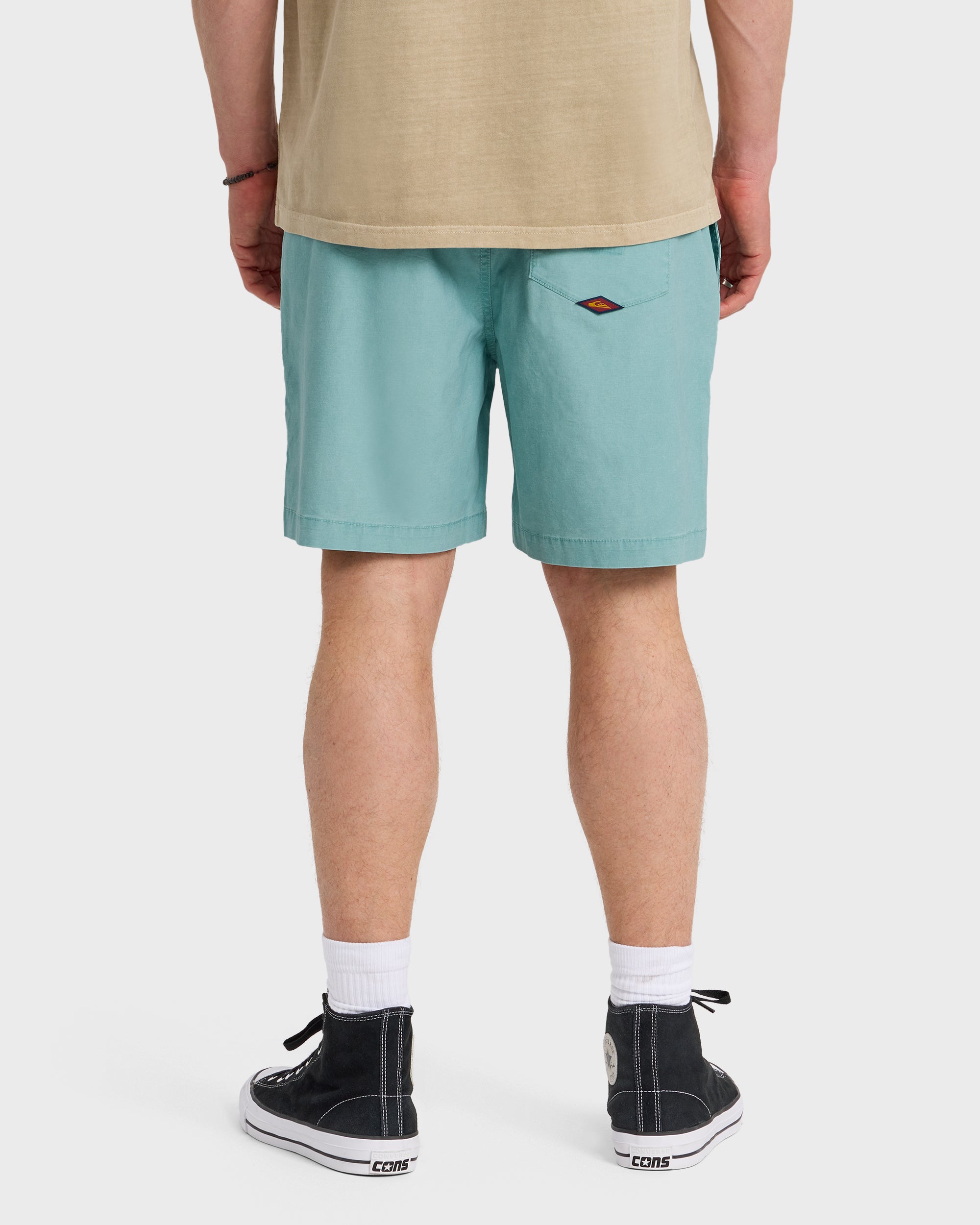 Saltwater Shorts - Jade Gray | Quiksilver