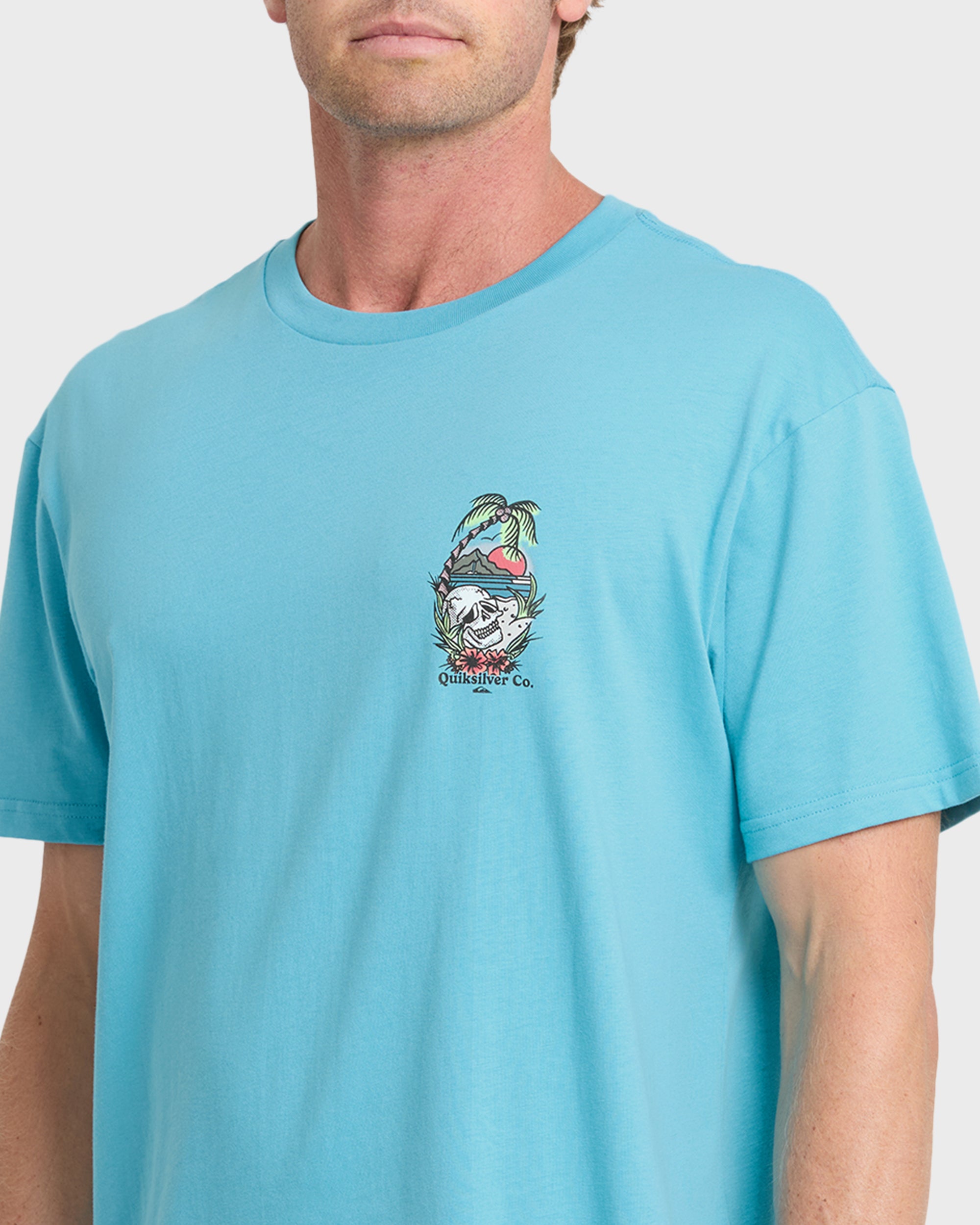Staycation Short Sleeve Cotton T-Shirt - Crystal Seas | Quiksilver
