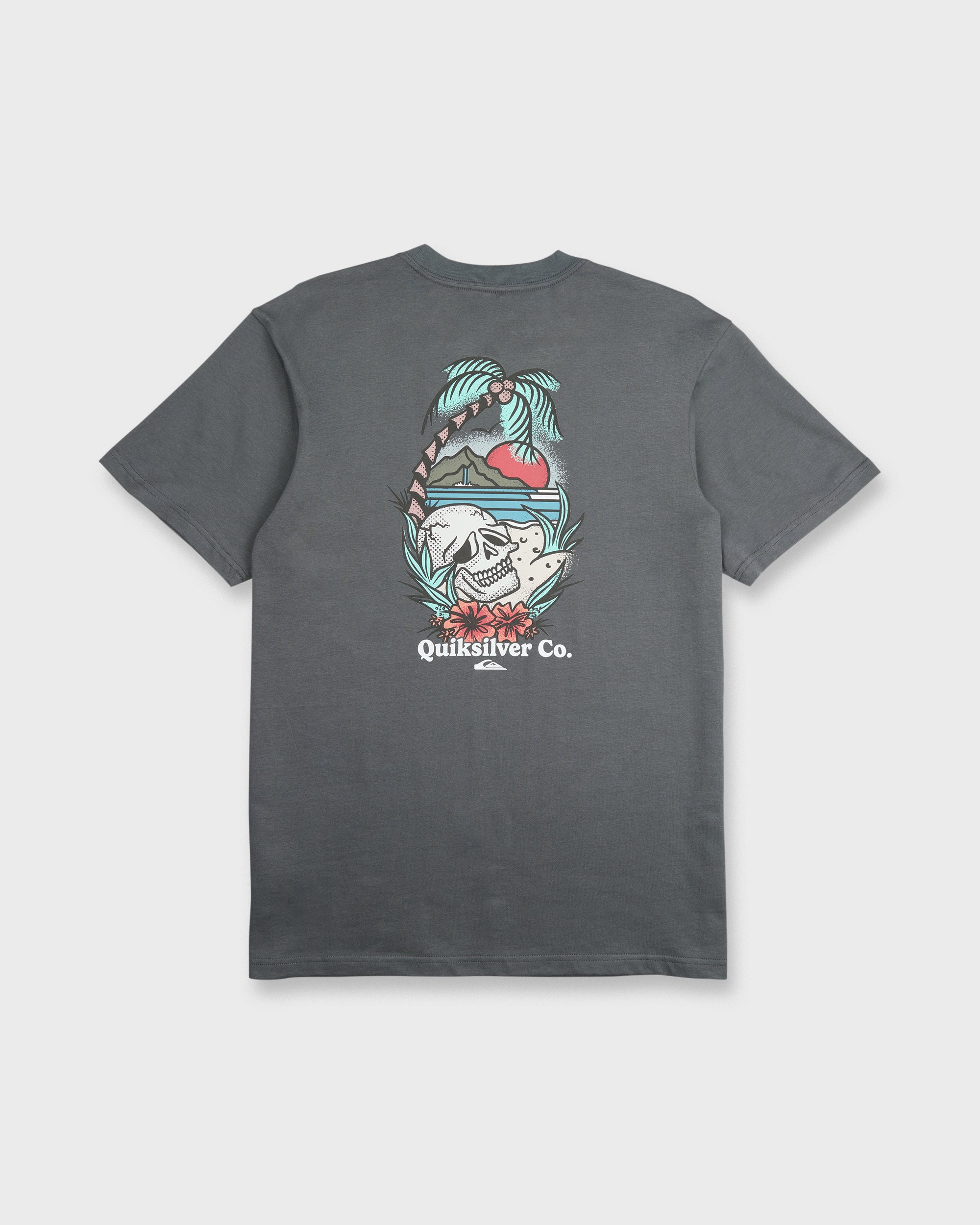 Staycation Short Sleeve Cotton T-Shirt - Iron Gate | Quiksilver