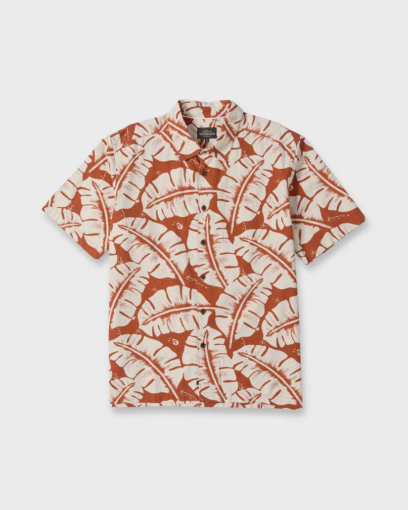 FRONDS-WM-SS-PICANTE-6