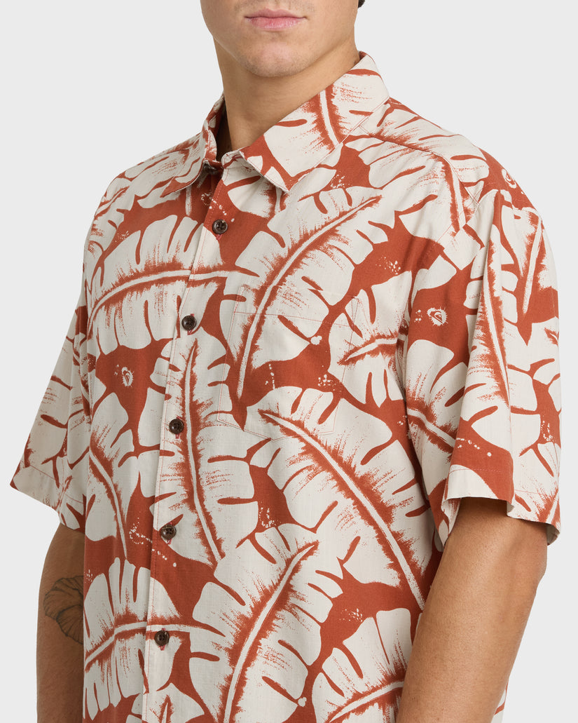 FRONDS-WM-SS-PICANTE-5