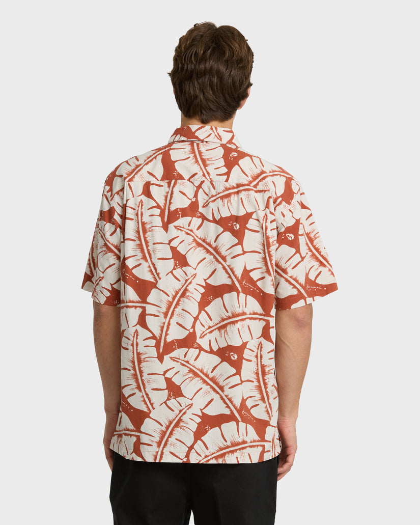 FRONDS-WM-SS-PICANTE-2