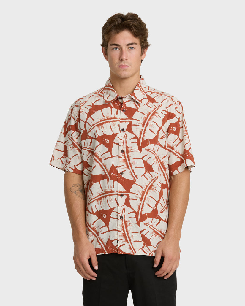 FRONDS-WM-SS-PICANTE-1