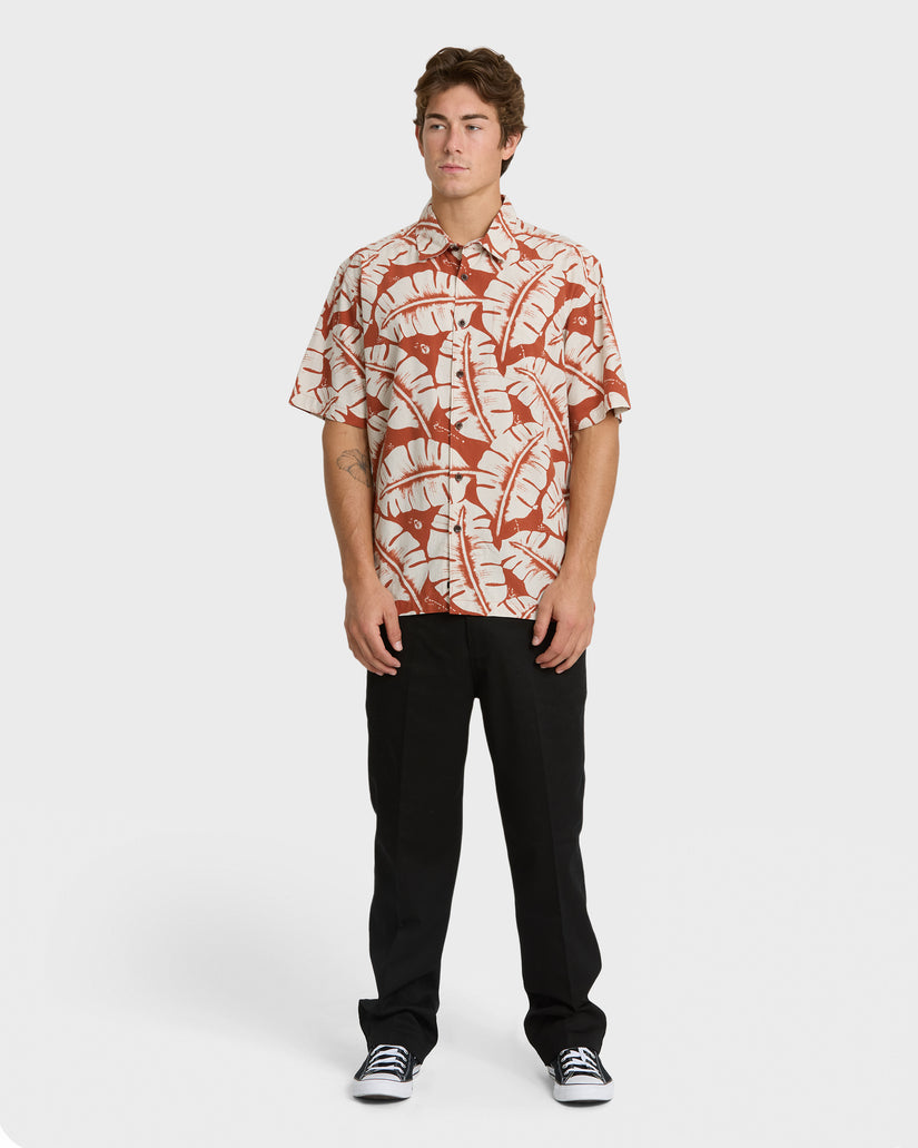 FRONDS-WM-SS-PICANTE-3