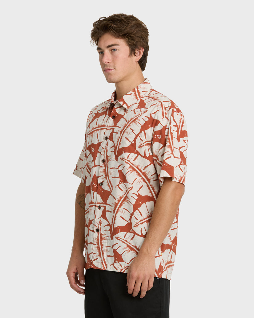 FRONDS-WM-SS-PICANTE-4