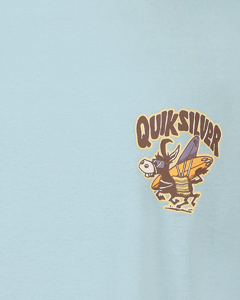 Quiksilver logo on a light blue background