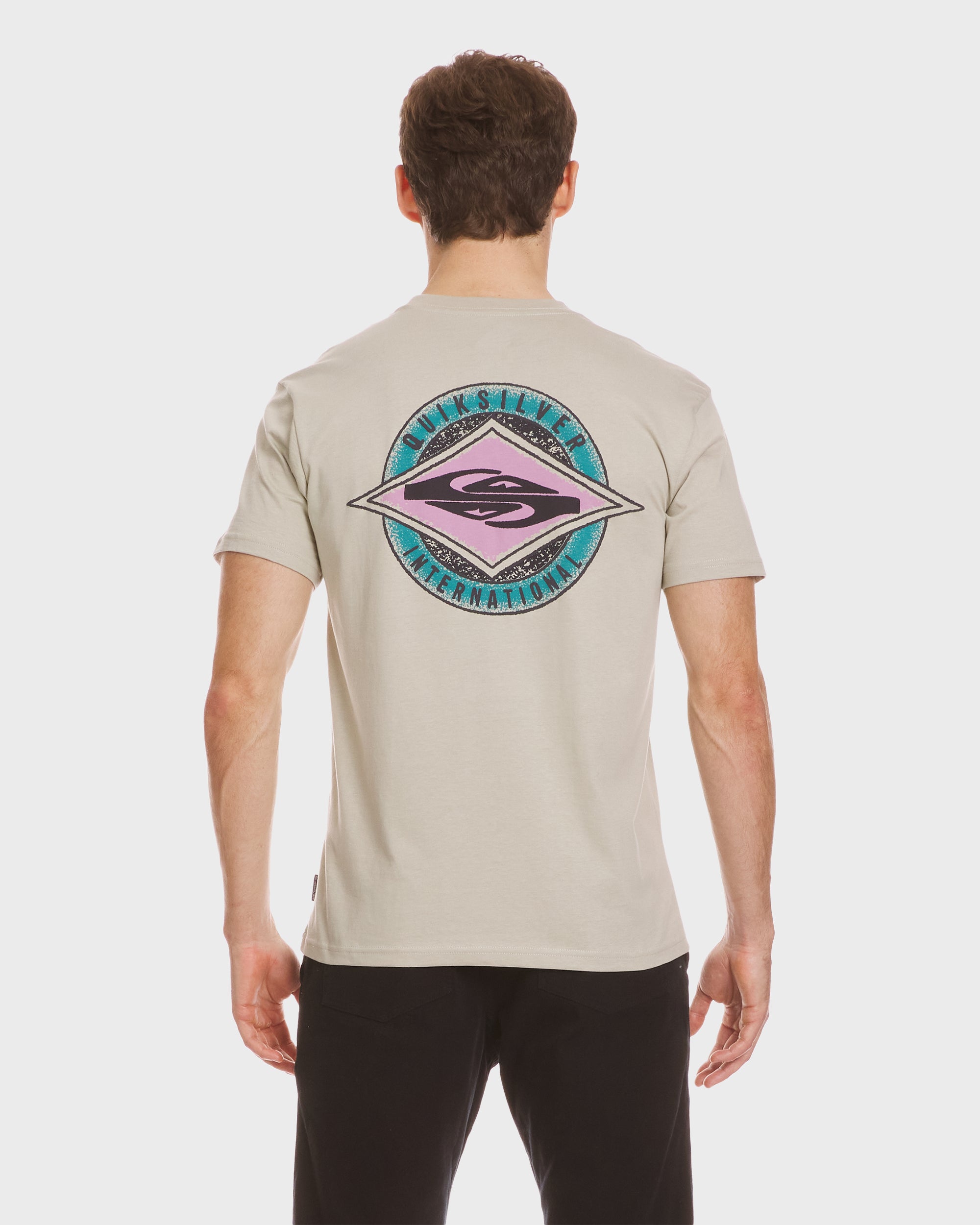 Reflect T-Shirt - Pale Aloe | Quiksilver