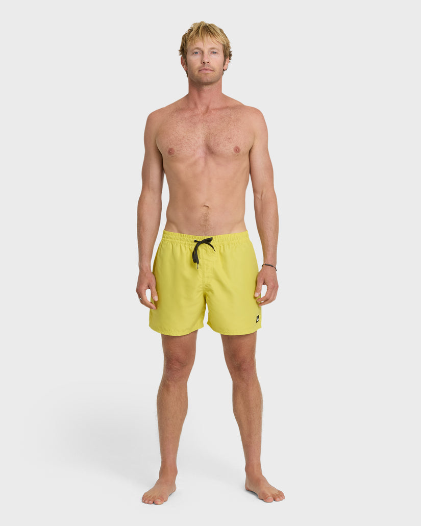 Everyday-Solid-17"-Swim-Trunks-Acacia-3