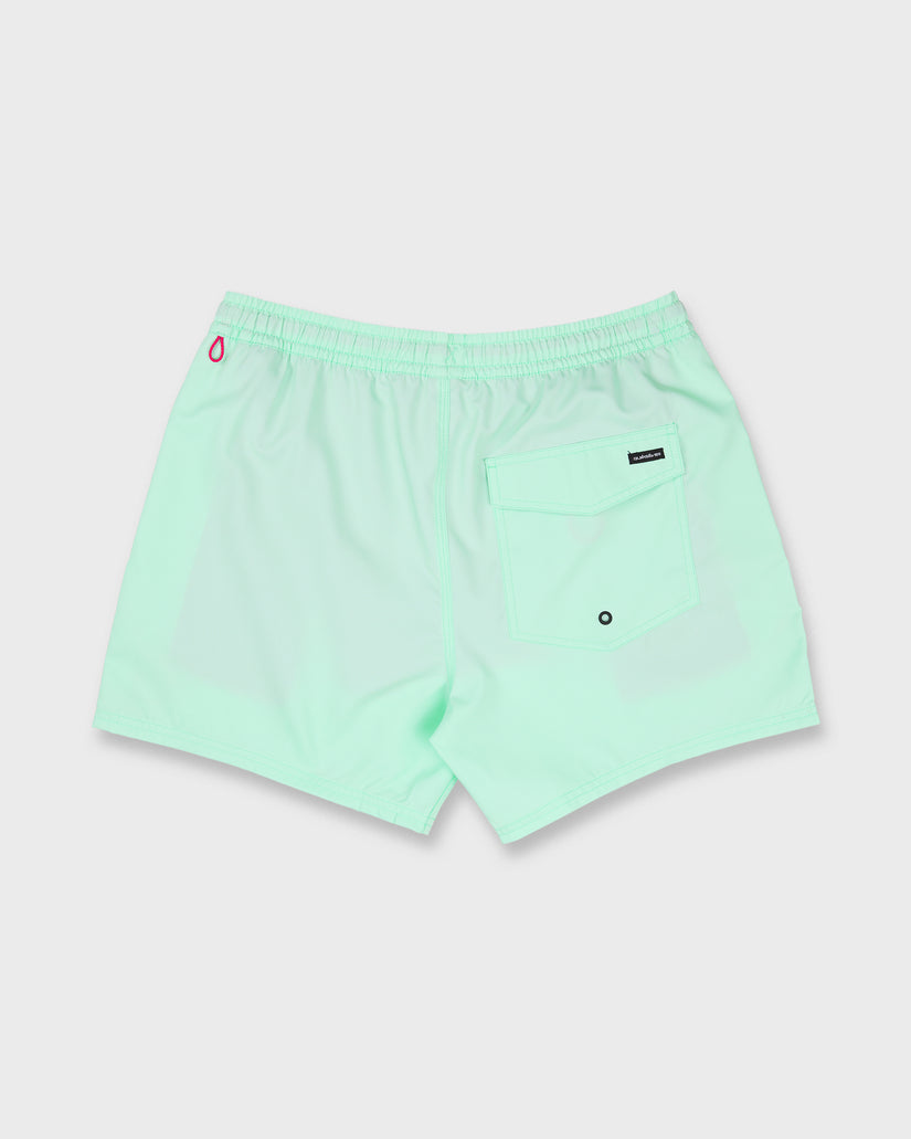 EVERYDAY-SOLID-VOLLEY-15-BROOK-GREEN-7
