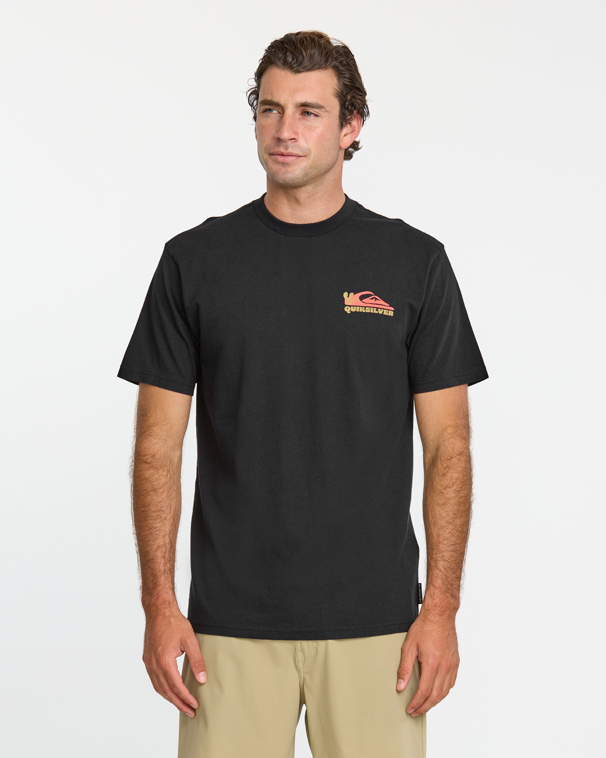 QUIKSILVER Tシャツ Quiksilver クイックシルバー メンズ サーフ 半袖Tシャツ FL