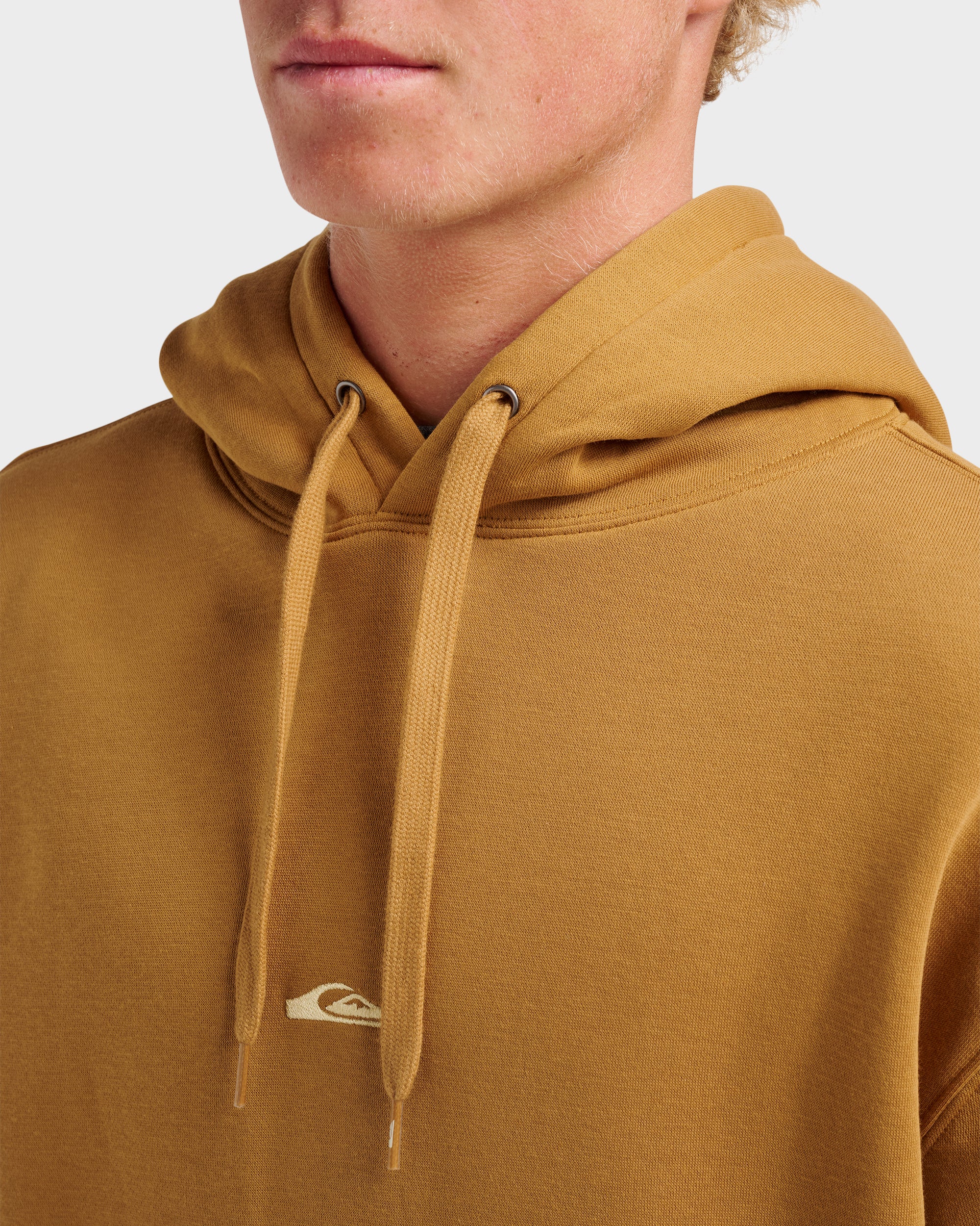 Passage Logo Hoodie - Wood Thrush | Quiksilver