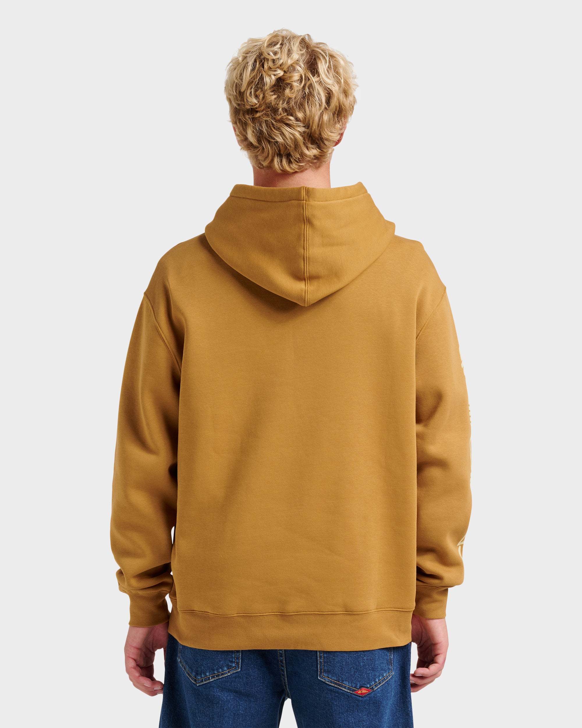 Passage Logo Hoodie - Wood Thrush | Quiksilver