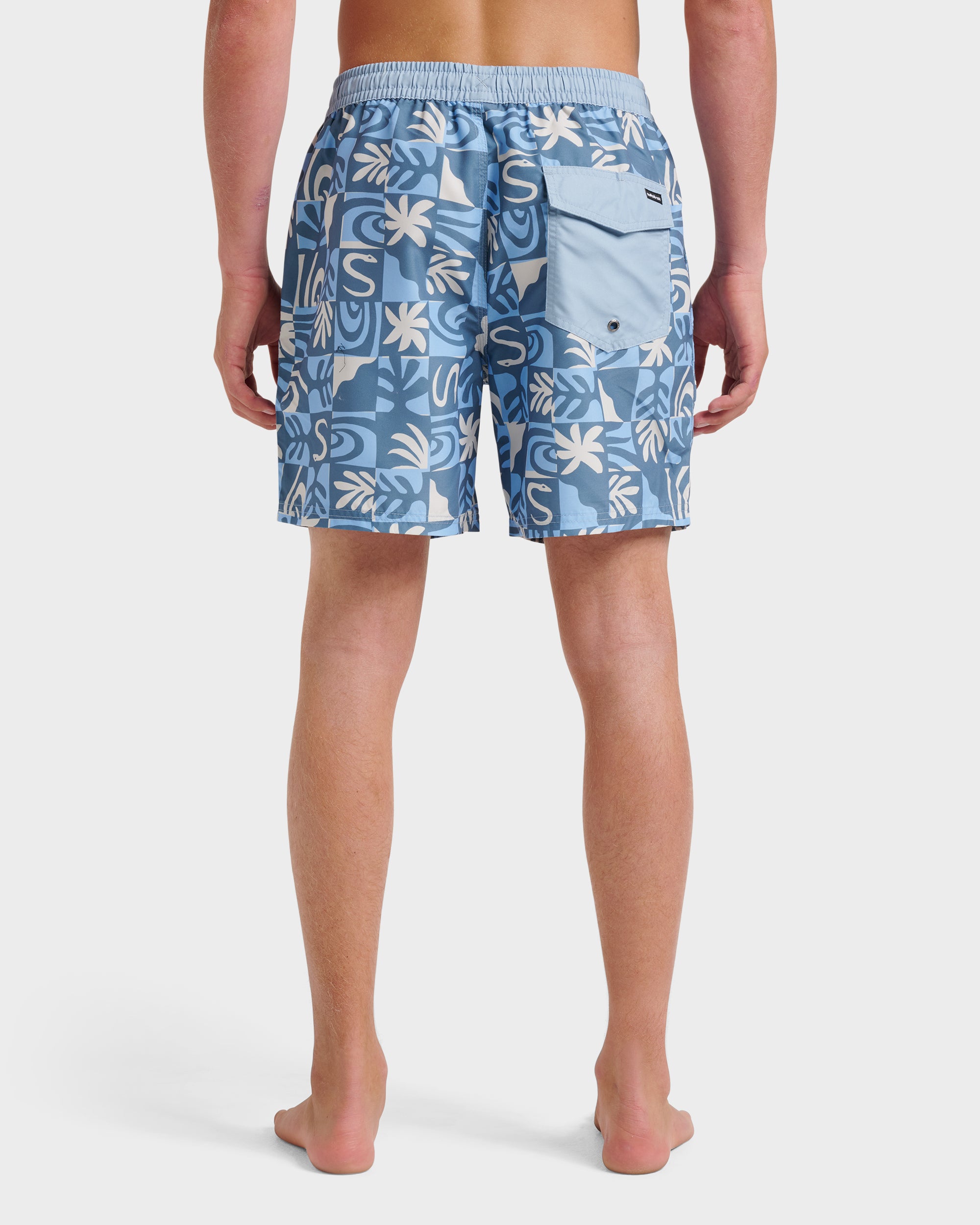 Everyday Terra Swim Trunks - Ashley Blue | Quiksilver