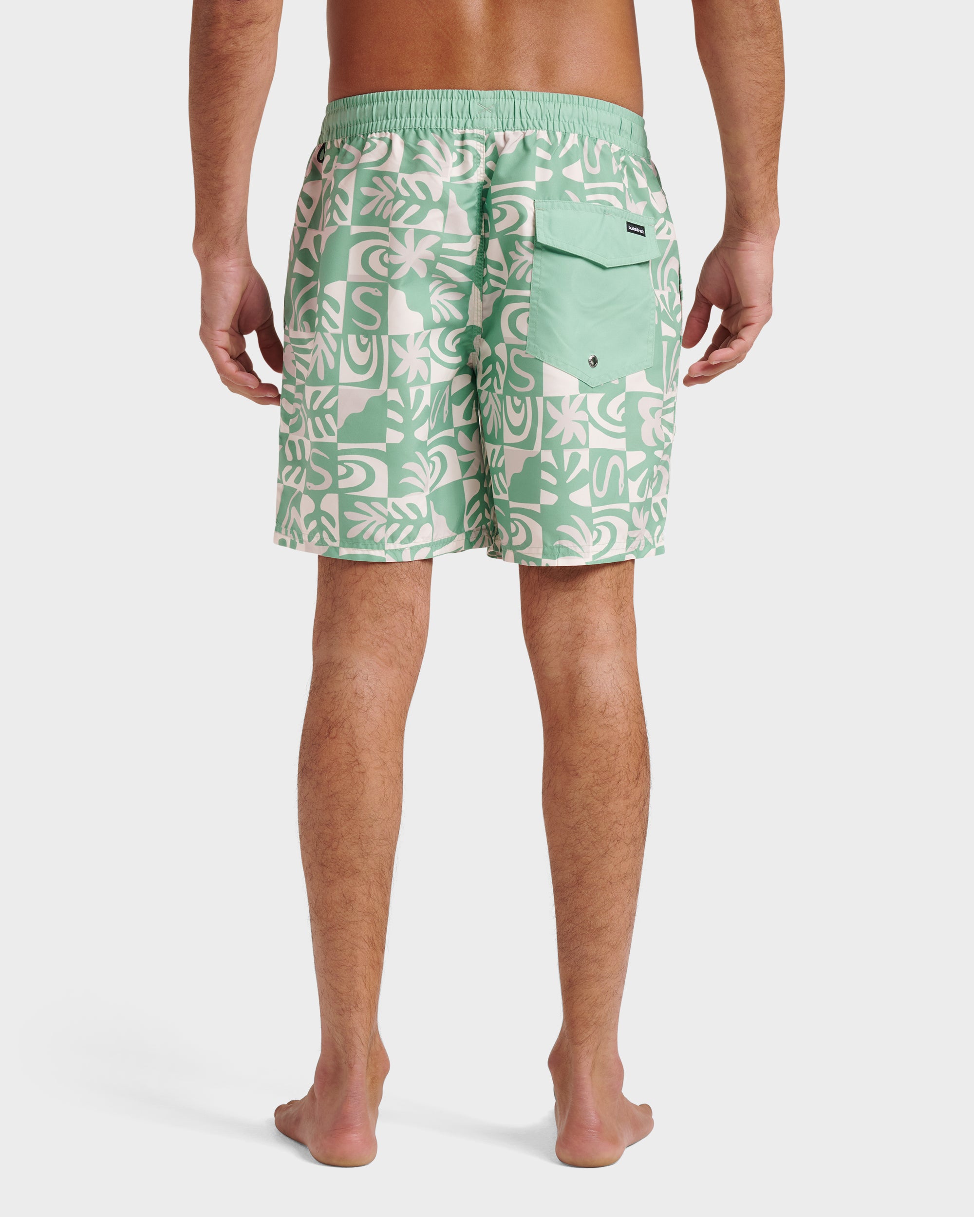 Everyday Terra Swim Trunks - Granite Green | Quiksilver