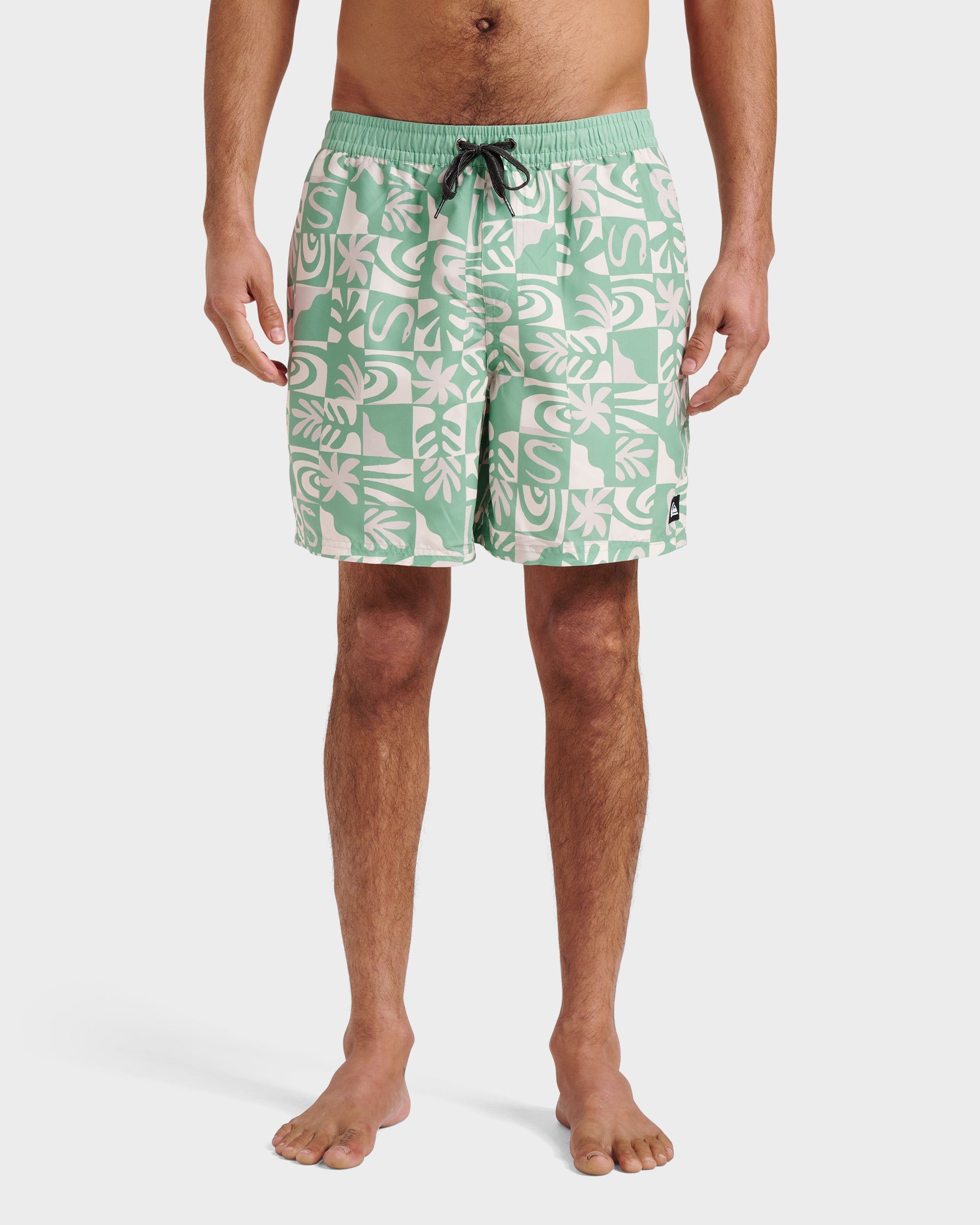Everyday Terra Swim Trunks - Granite Green | Quiksilver