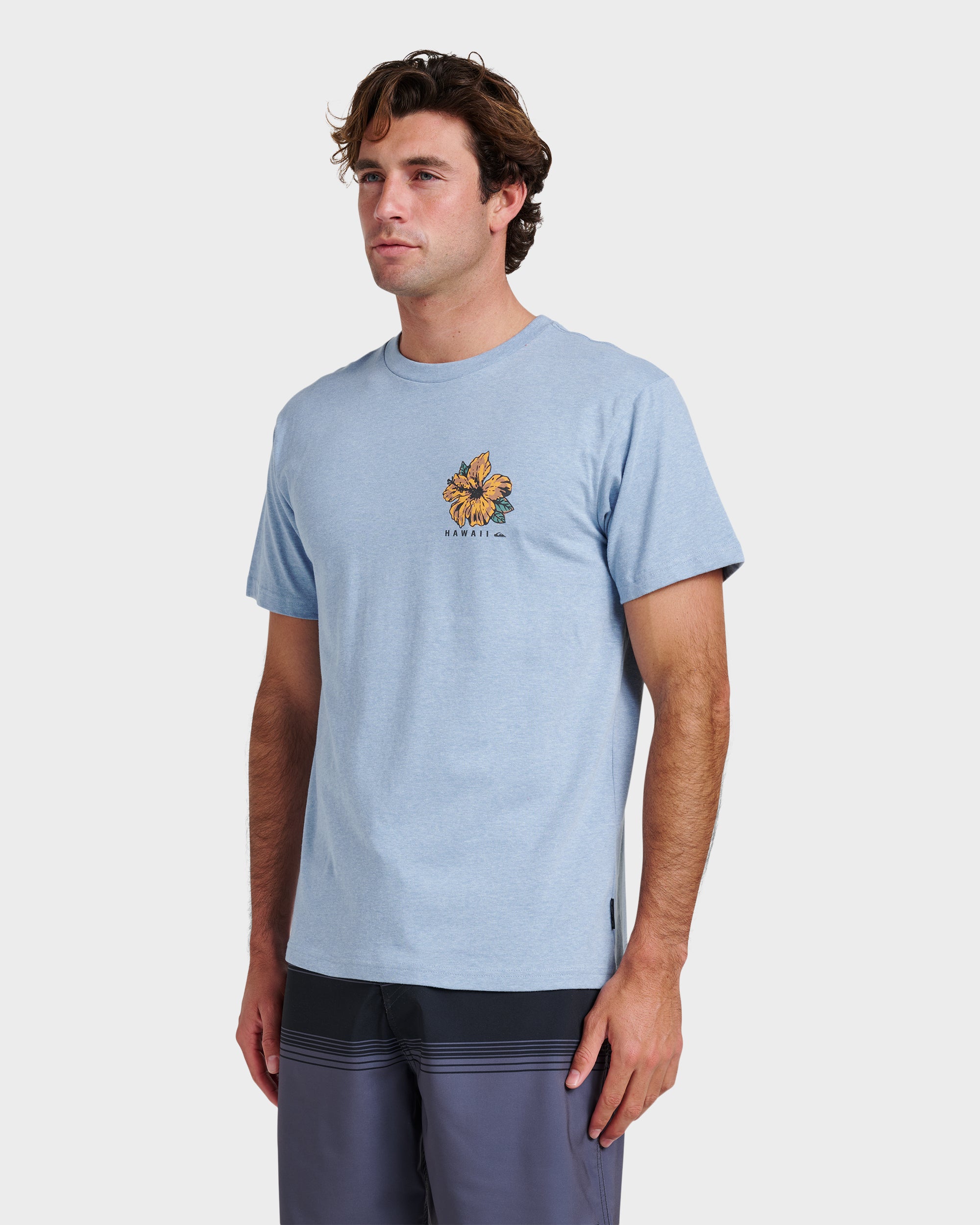 Hi Garden Classic T-shirt - Ashley Blue Heather | Quiksilver