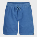 Boys Taxer Cord Shorts