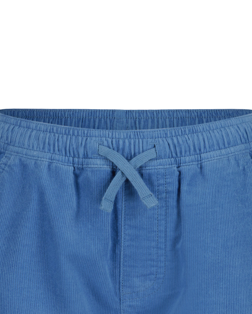 Boys Taxer Cord Shorts